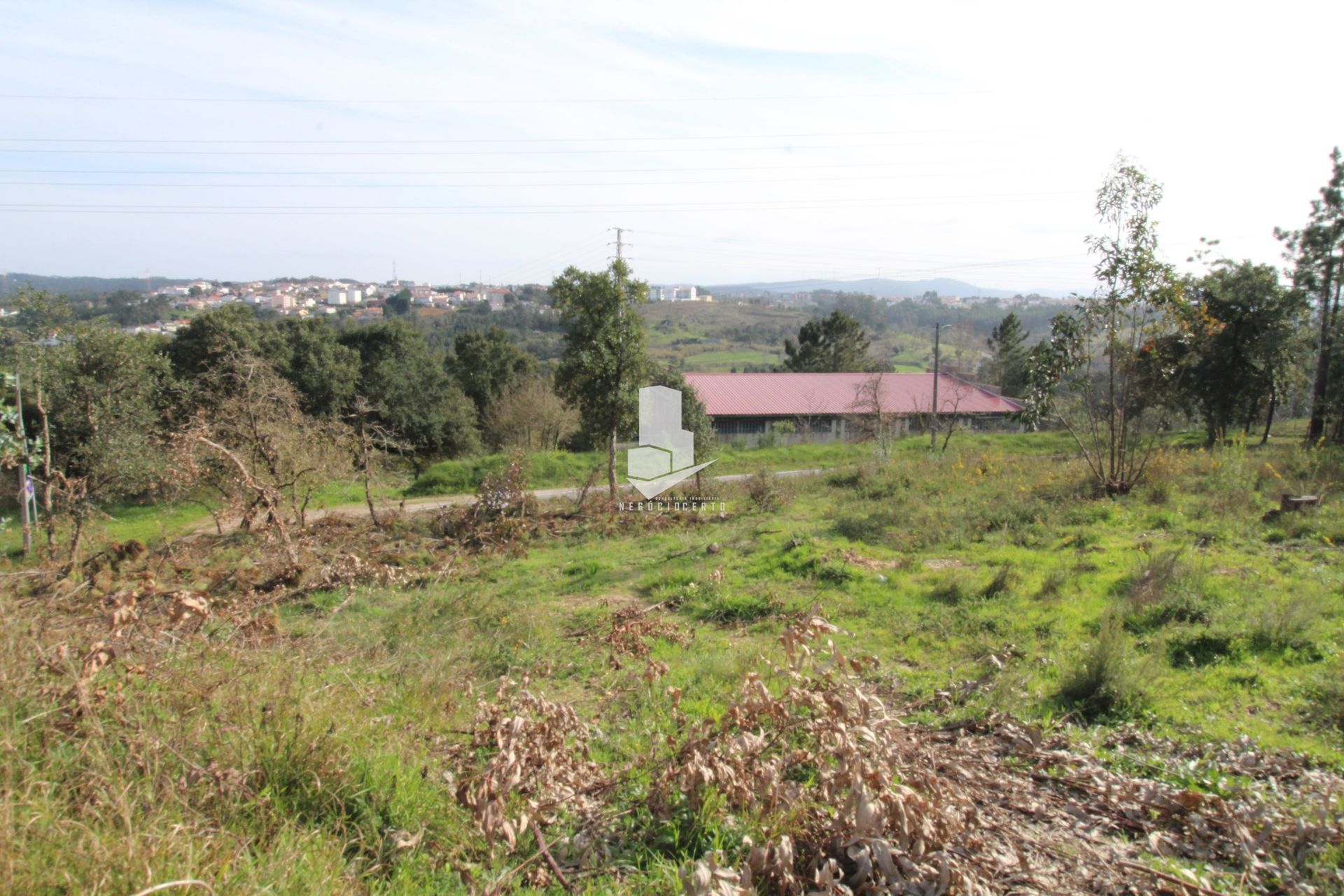 Terra no Leiria, Leiria District 10751823