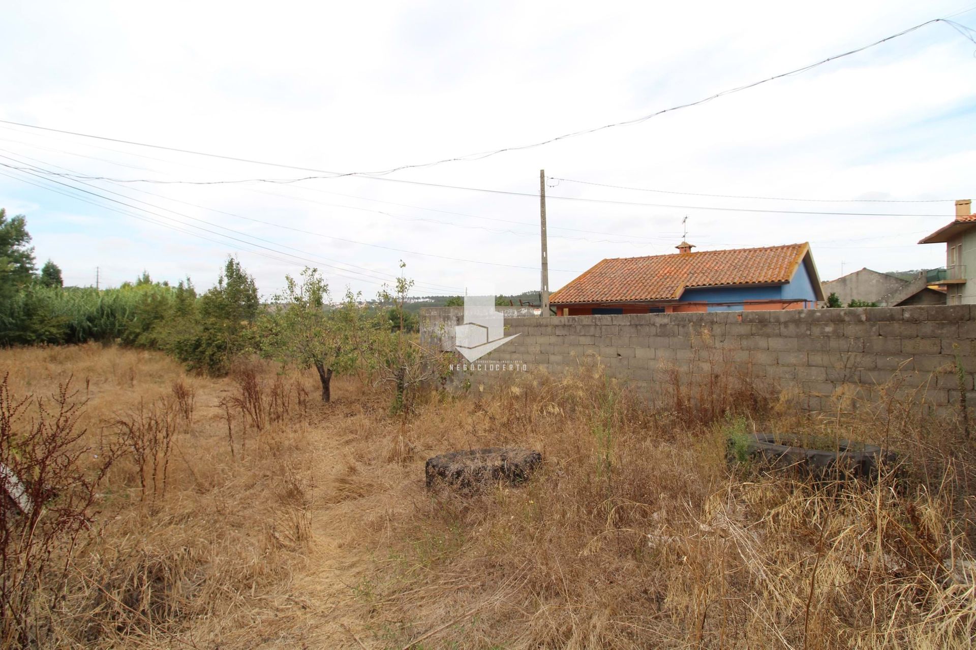 Tierra en Brogal, Leiría 10751831