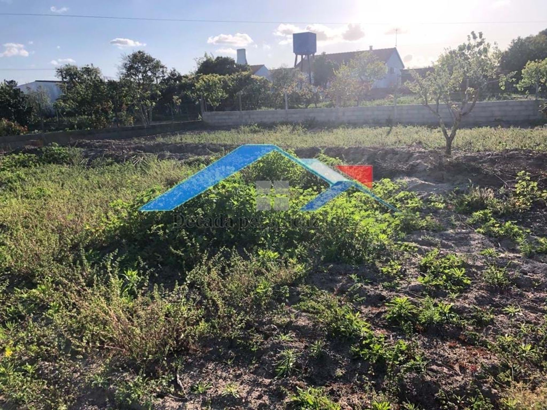 Tierra en Foros do Biscainho, Santarém 10751891