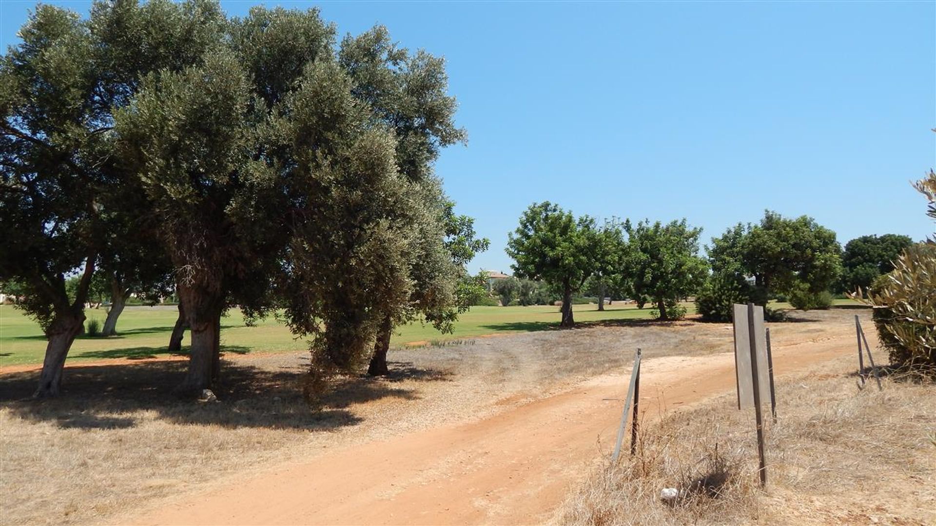 Terre dans Kouklia, Paphos 10752283