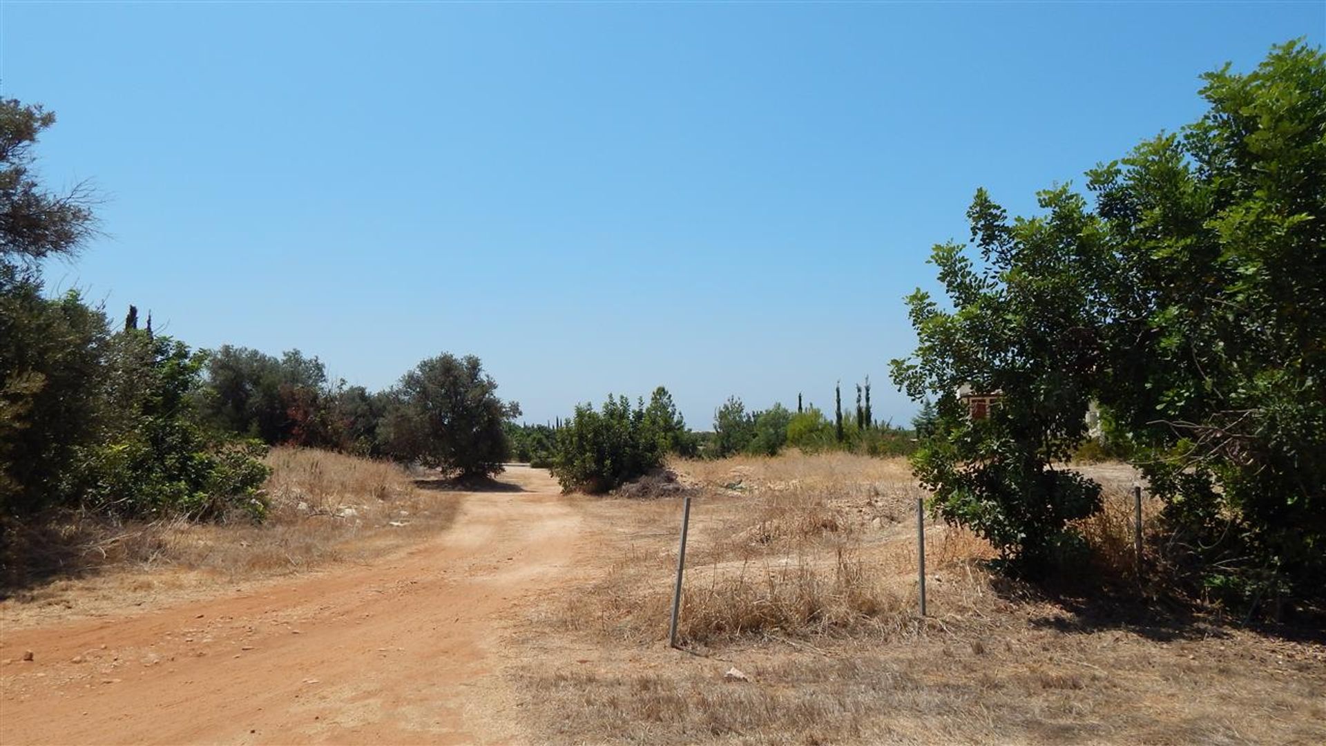 Terre dans Kouklia, Paphos 10752283