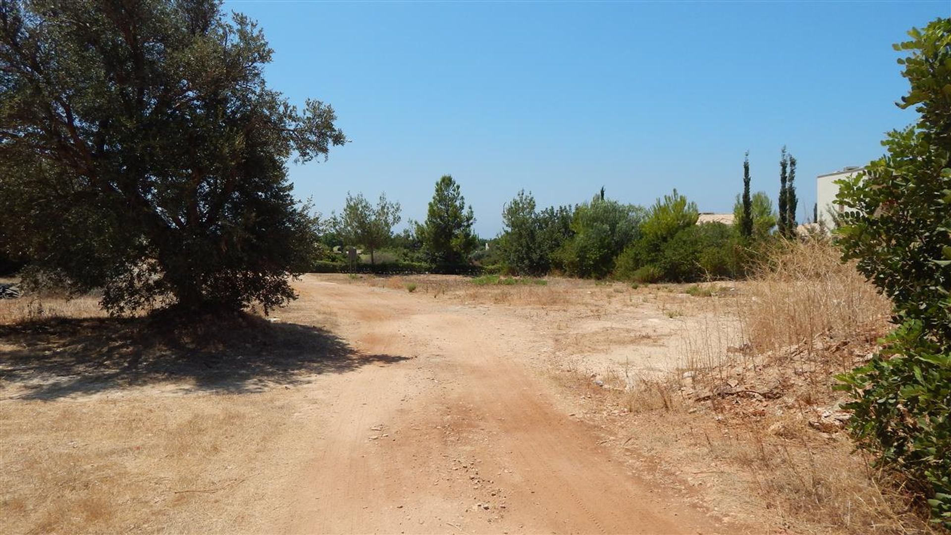 Tierra en Agia Marinouda, Pafos 10752283