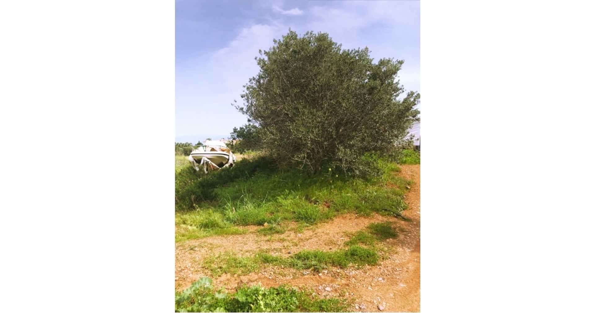 Land im Neo Chorio, Paphos 10752413