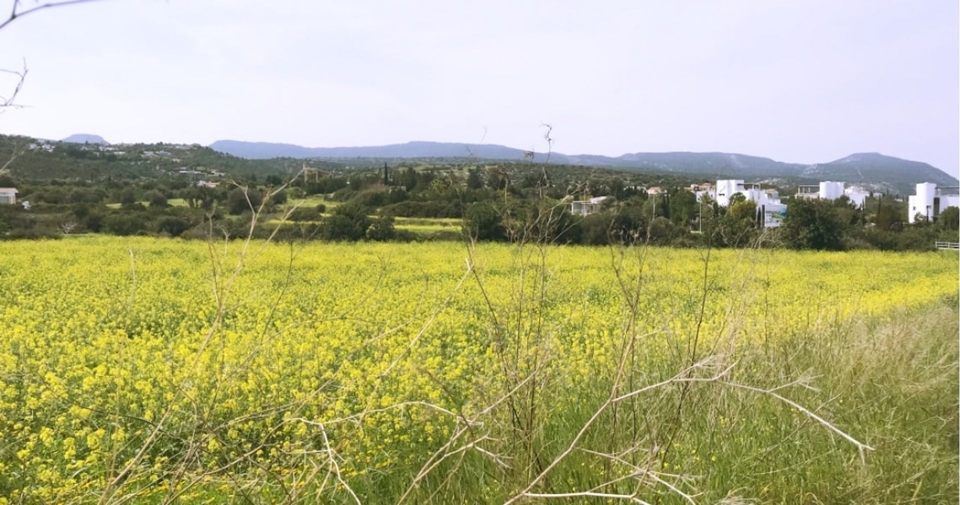 Terra no Neo Chorio, Paphos 10752413