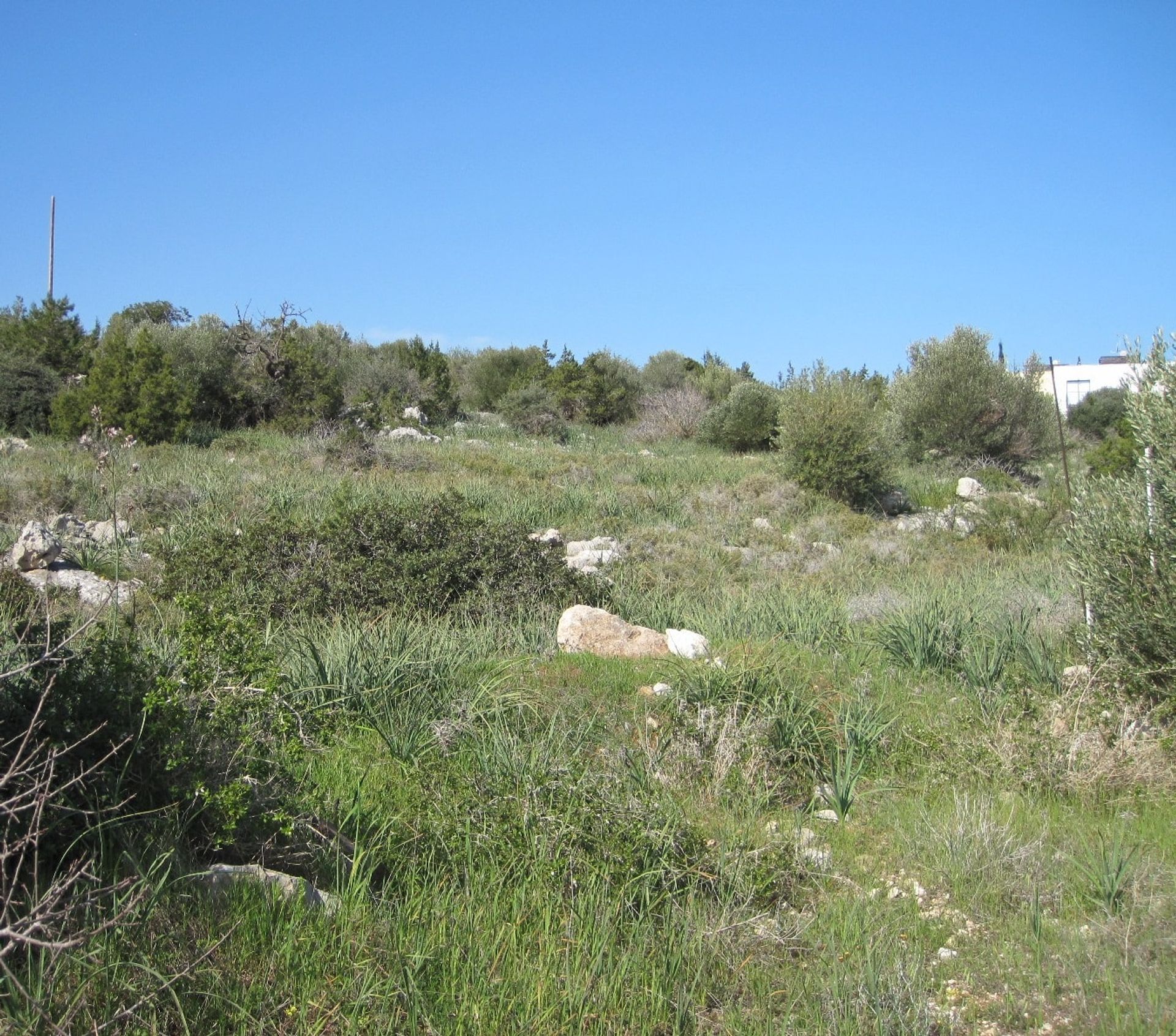 Tanah dalam Polis, Pafos 10752444