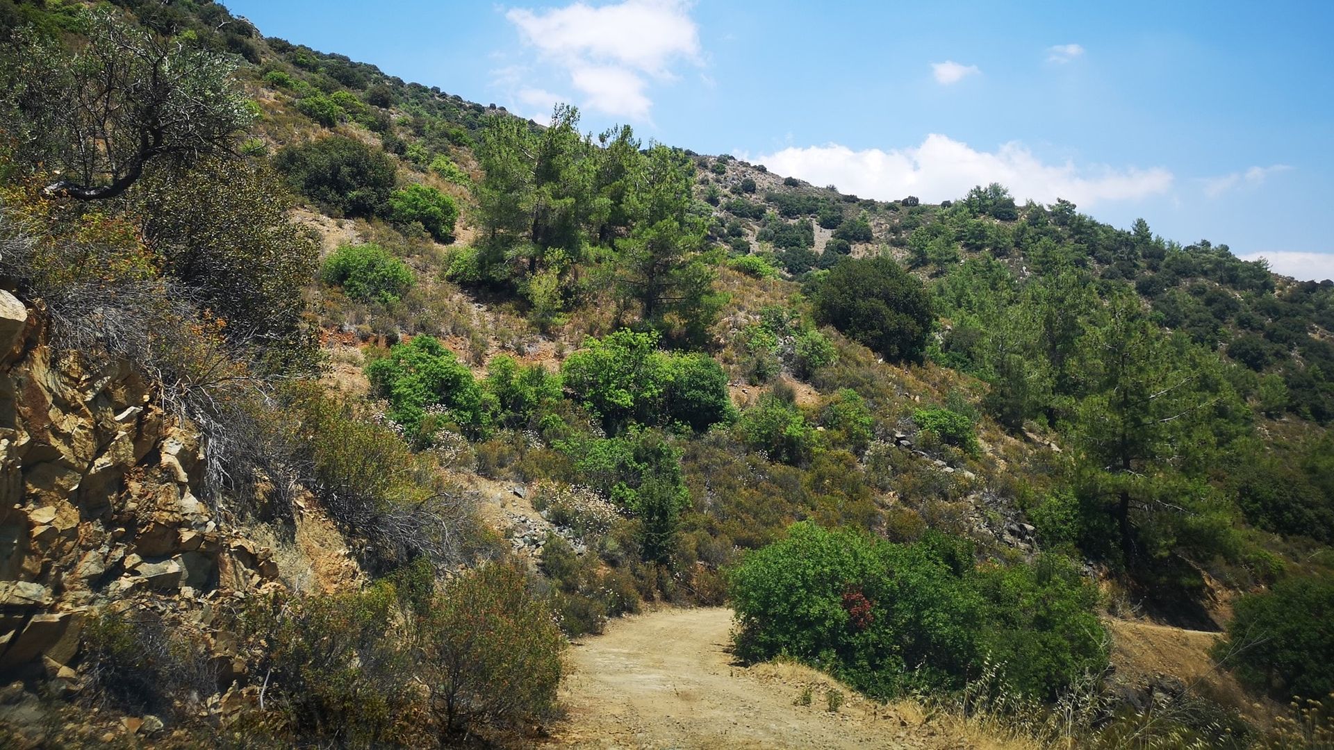 Terre dans Palodée, Lémésos 10752550