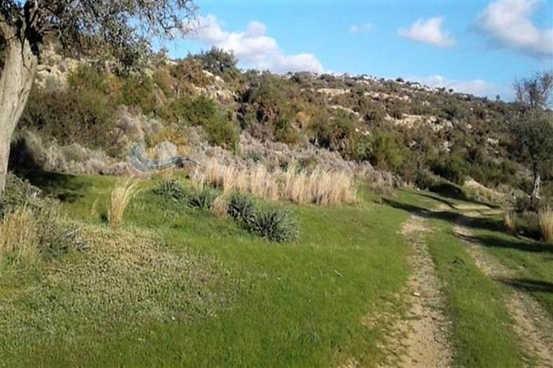 土地 在 Pissouri, Limassol 10752684