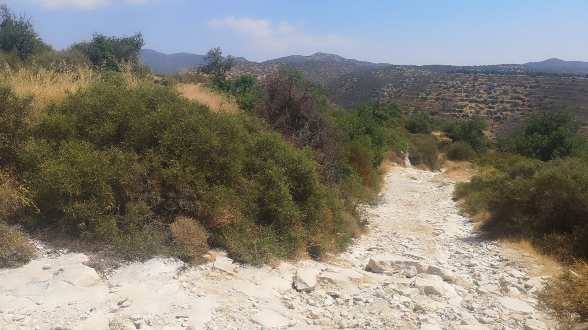 Land in Apesia, Limassol 10753405