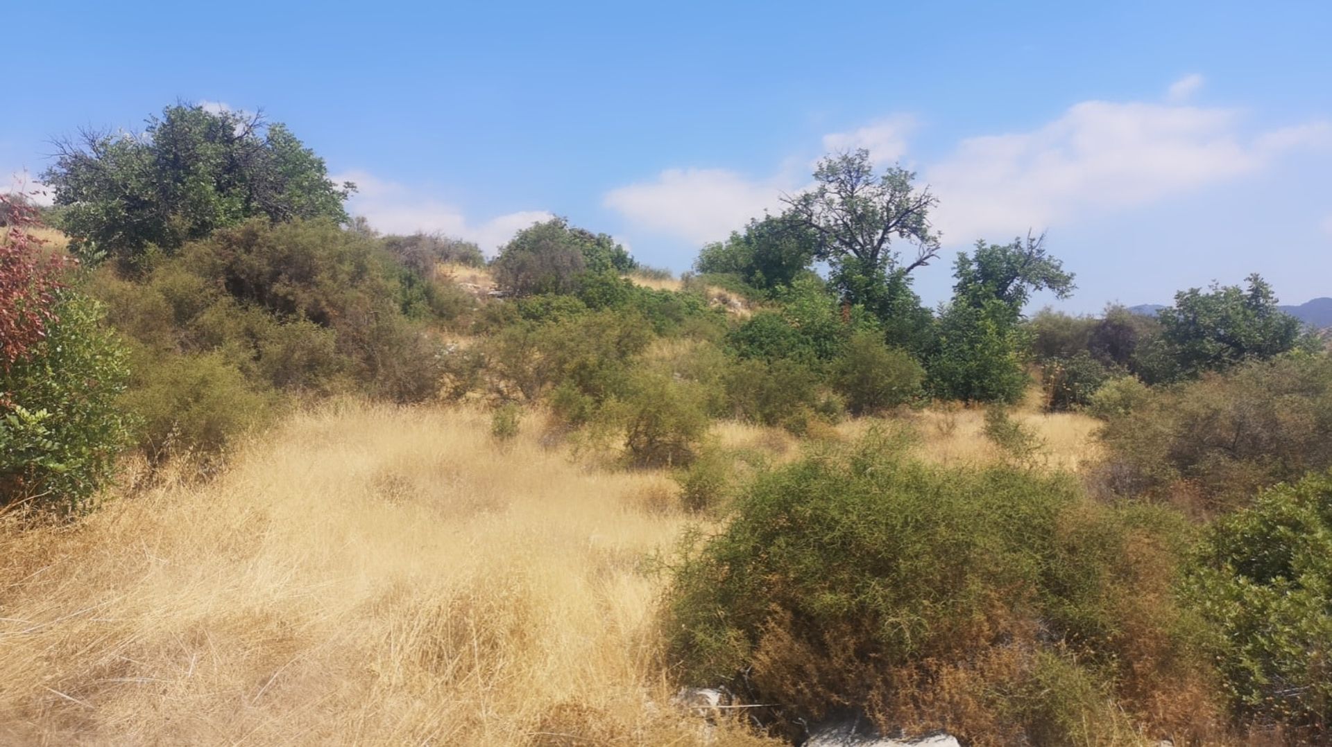 Land in Apesia, Limassol 10753405