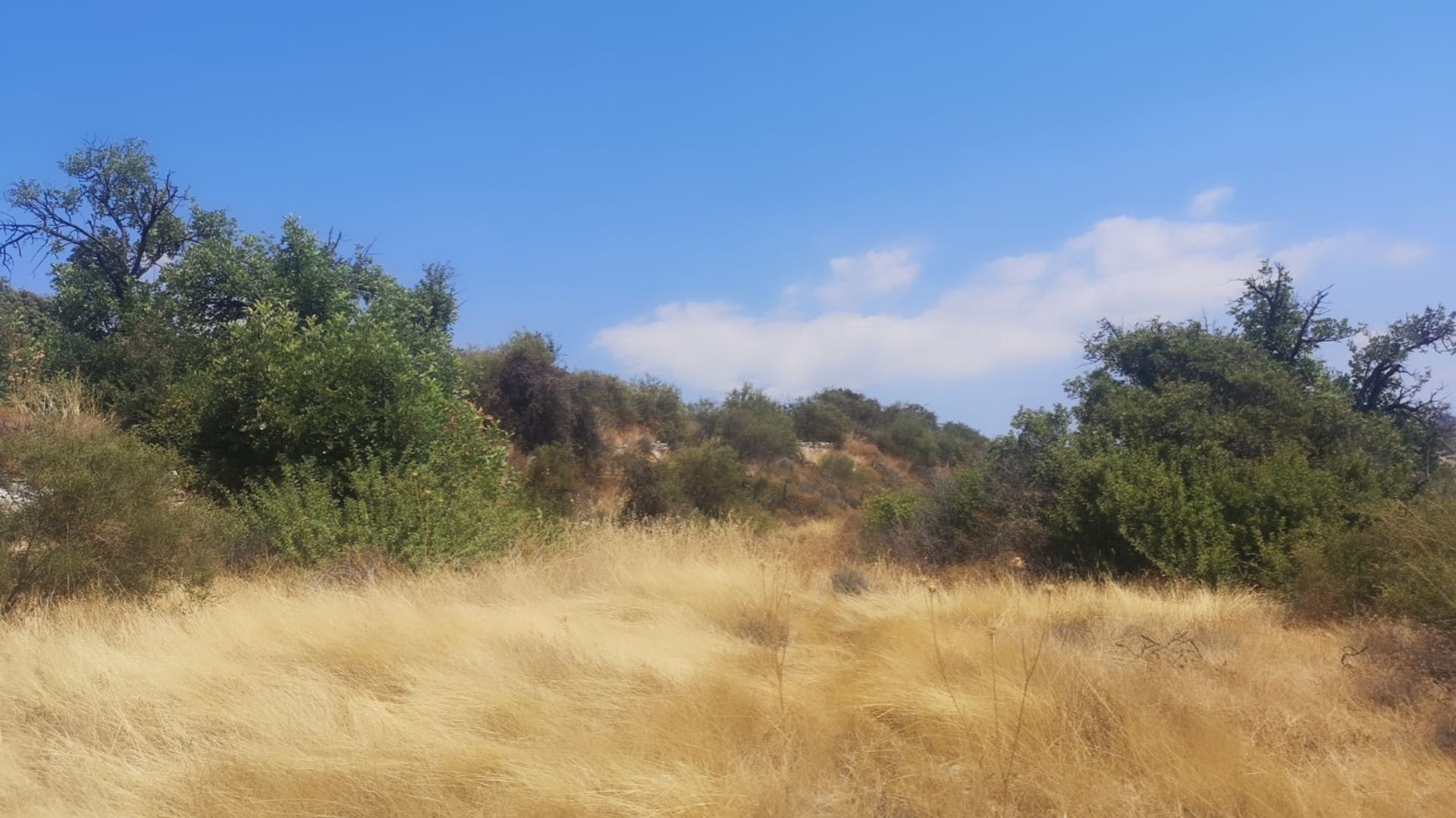 Land in Apesia, Limassol 10753405