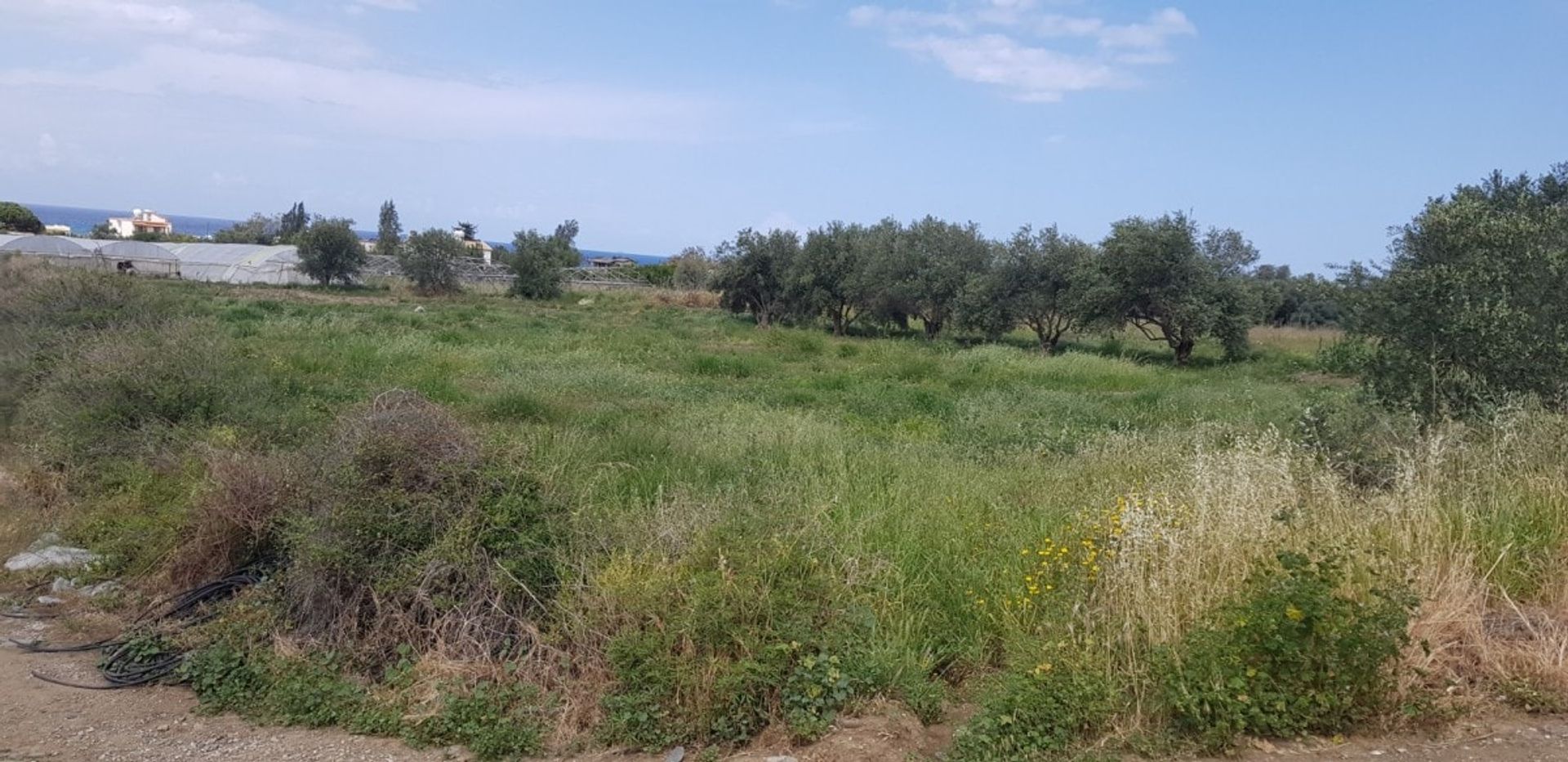 Land in Polis, Pafos 10753791