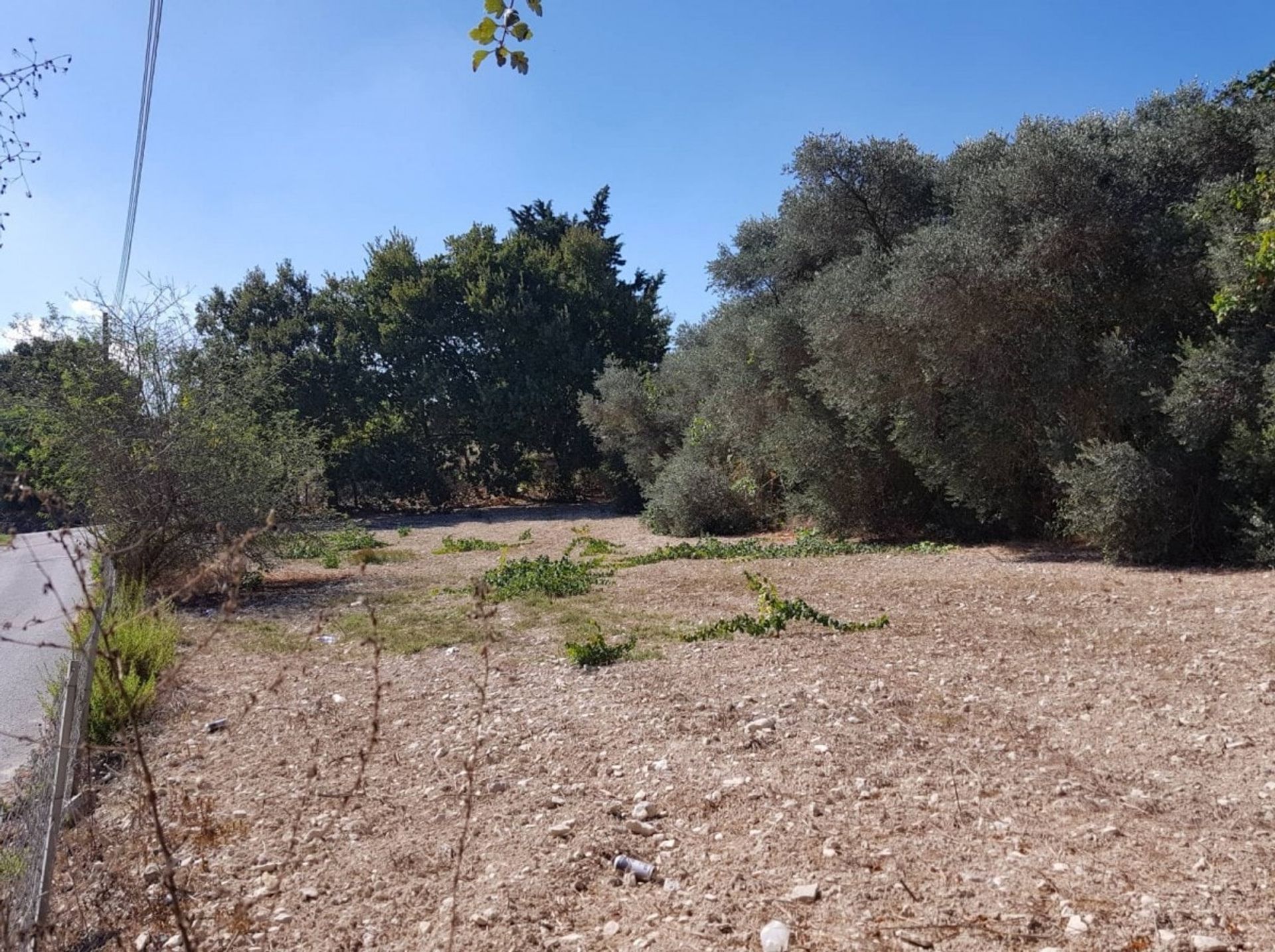 Land in Mesogi, Pafos 10753812