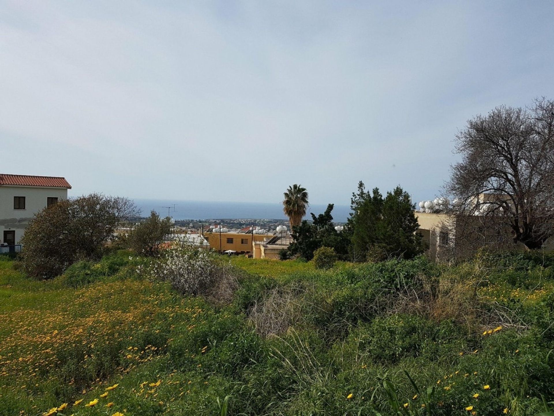 Land in Pegeia, Pafos 10753815