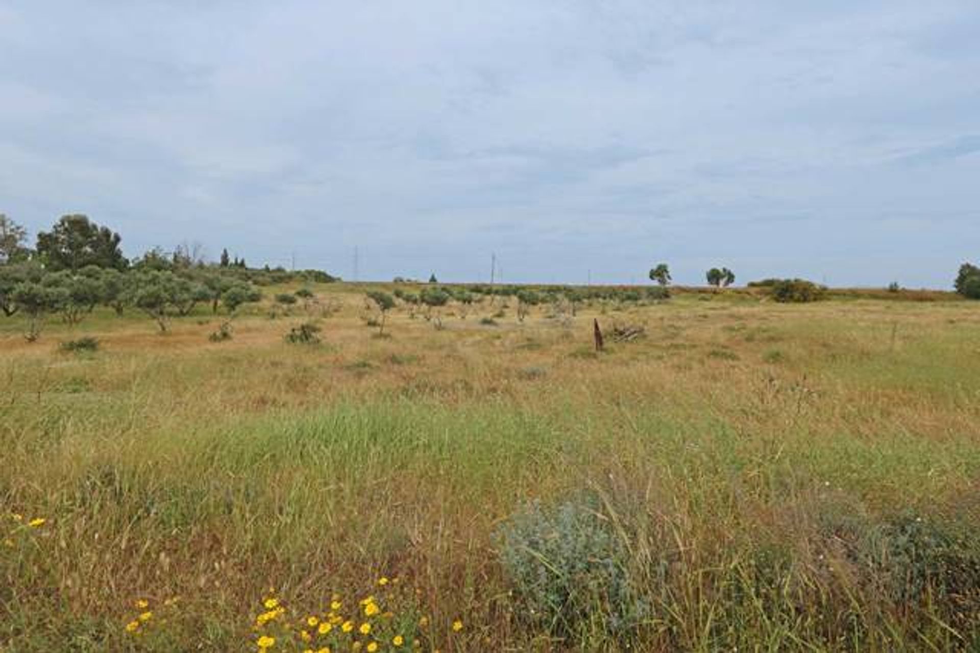 Land in Liopetri, Ammochostos 10753916