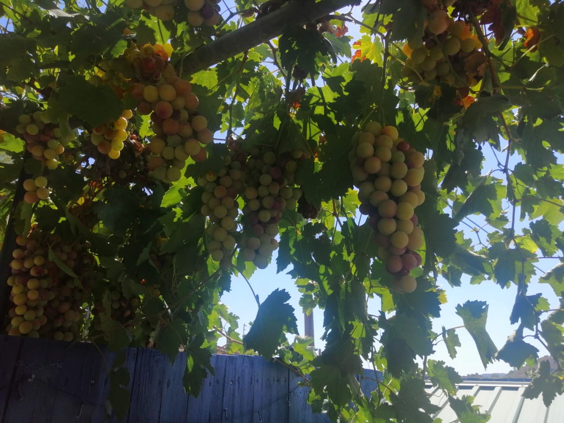 rumah dalam Kalo Chorio, Limassol 10754190