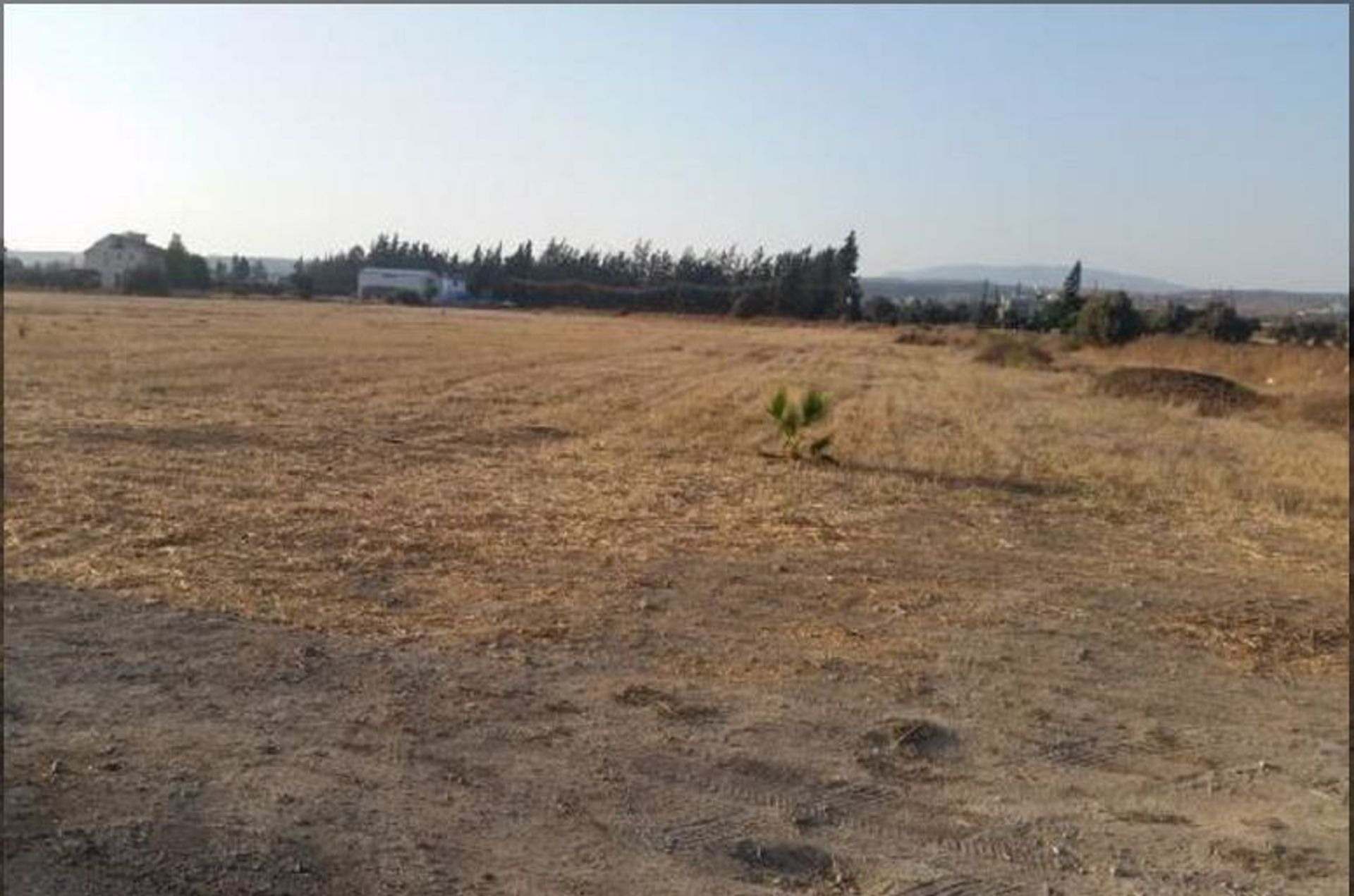 Land in Kolossi, Lemesos 10754683