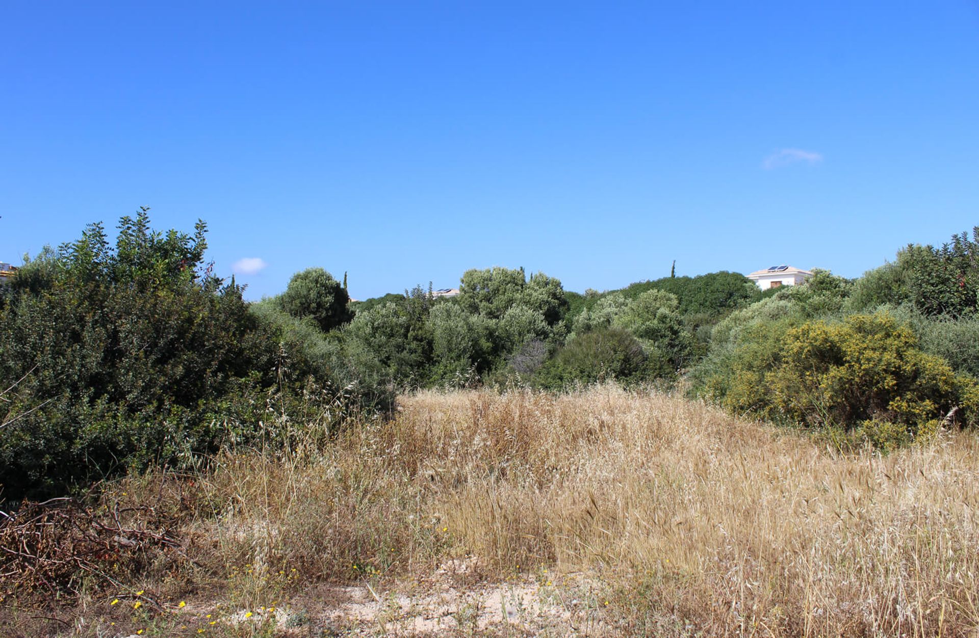 Tierra en Agia Marinouda, Pafos 10754813