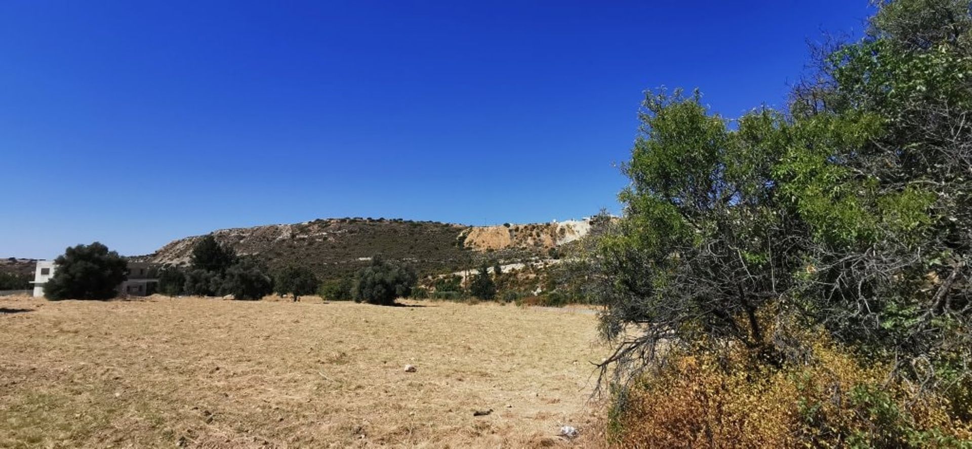 Land in Palodeia, Lemesos 10755226