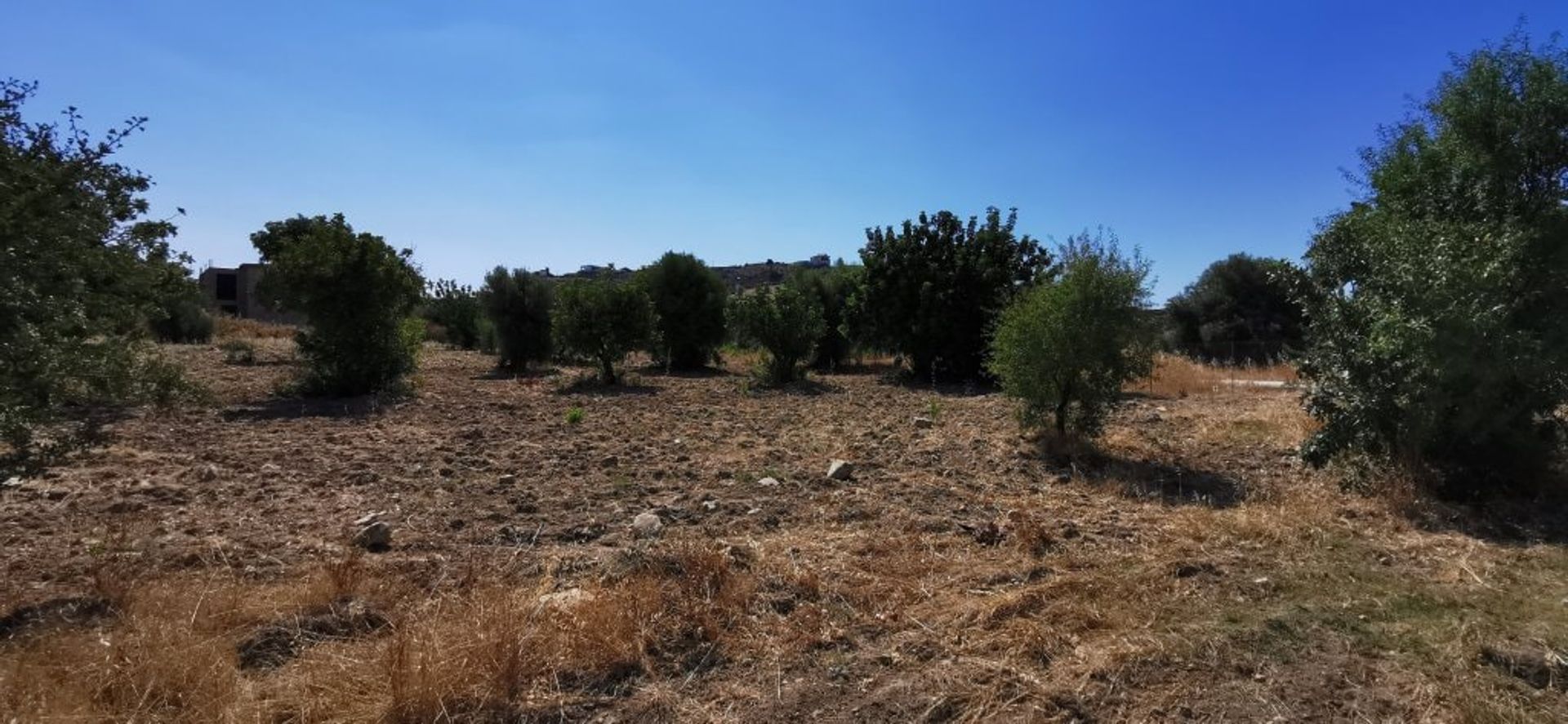 Terre dans Palodée, Lémésos 10755226