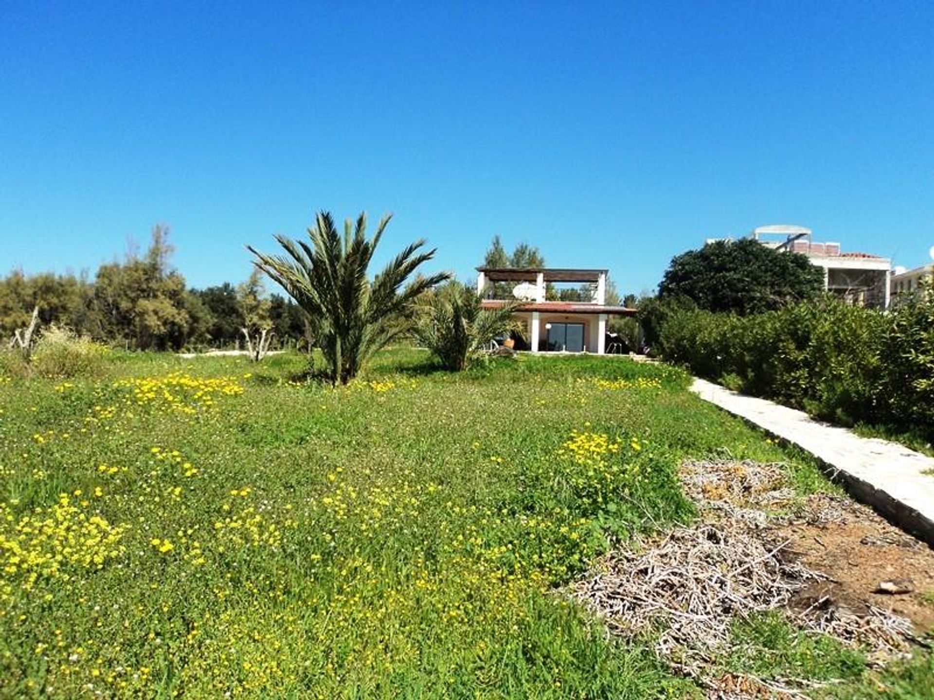 Hus i Peyia, Paphos 10755699