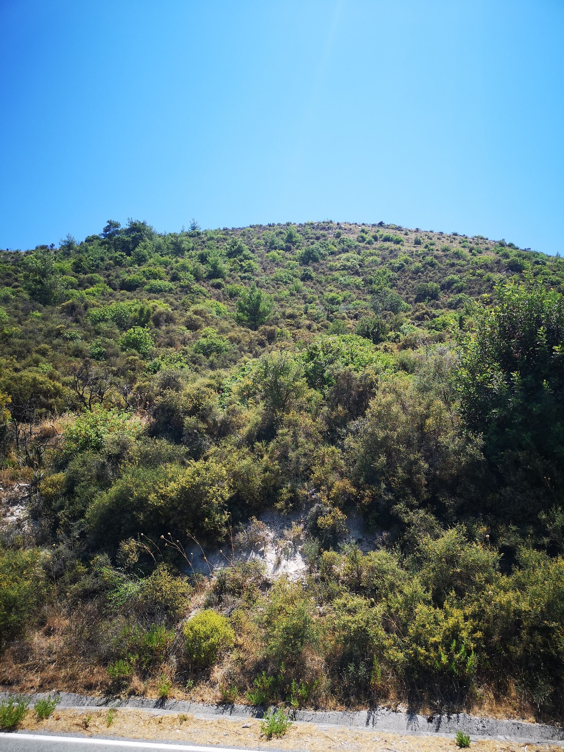 Terre dans Pampoula, Lémésos 10755826