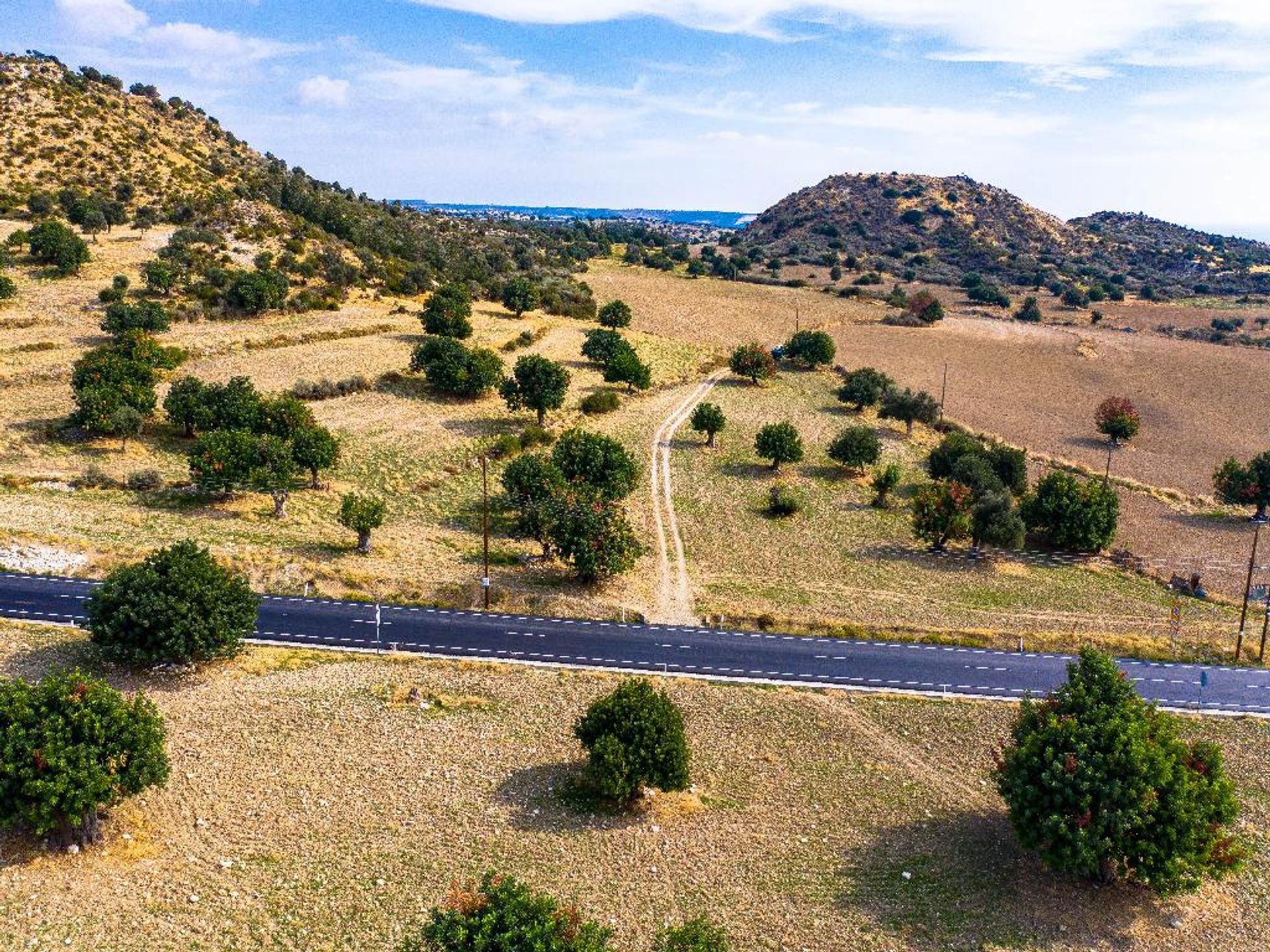 Tierra en pampula, lemesos 10755854