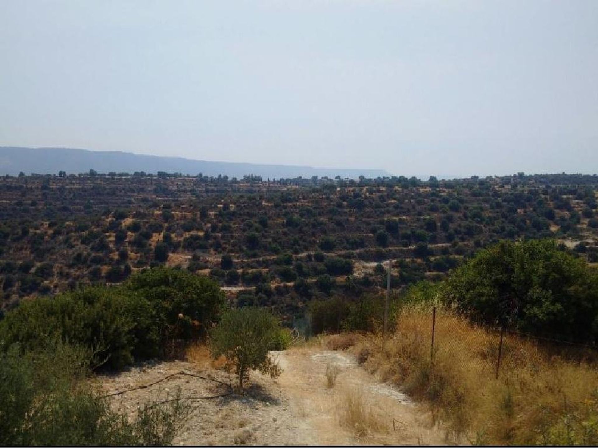 Terre dans Palodée, Lémésos 10755869