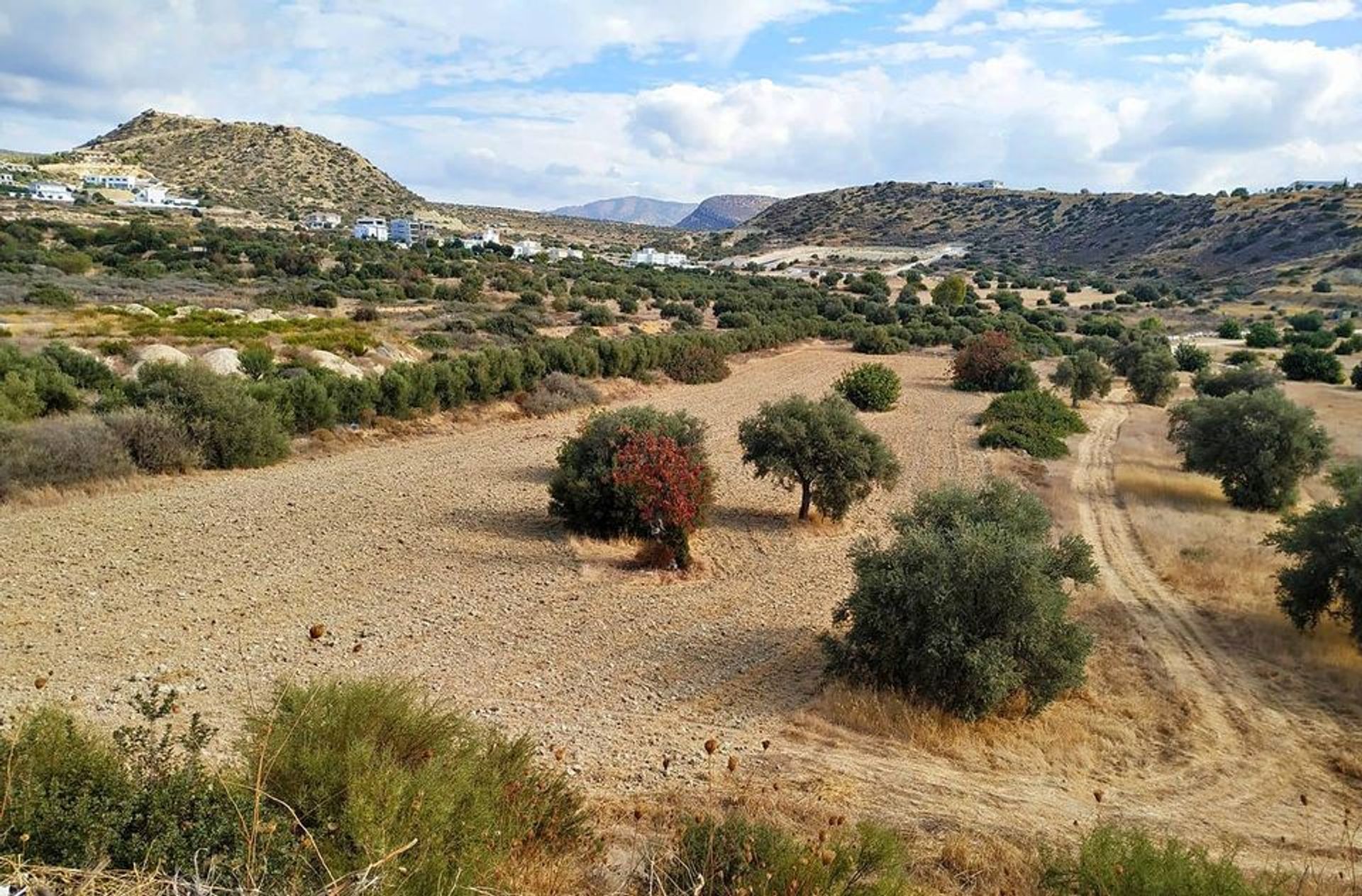 Tanah dalam Agios Athanasios, Lemesos 10756258