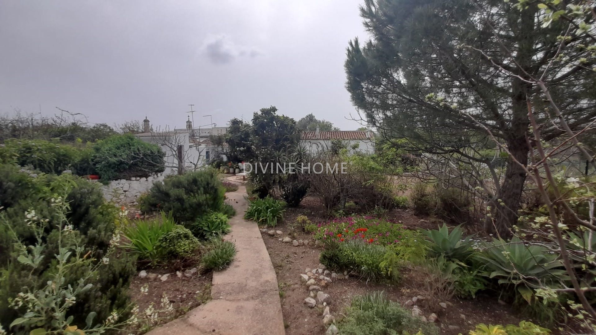 House in São Brás de Alportel, Faro District 10756449