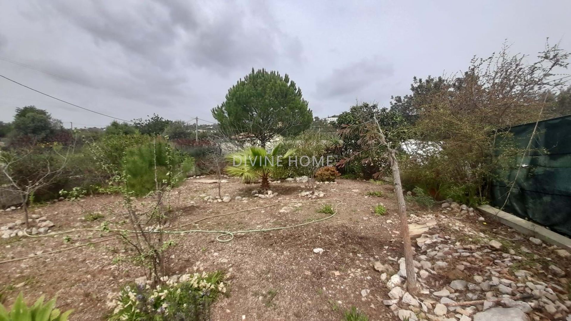 House in São Brás de Alportel, Faro District 10756449