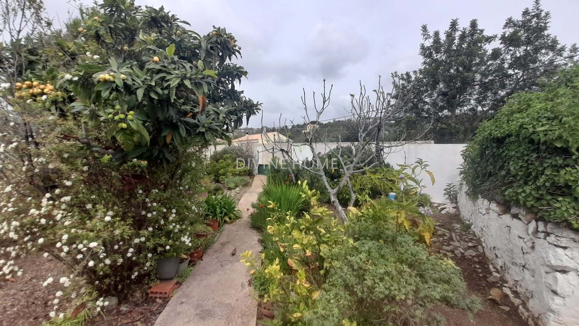 House in São Brás de Alportel, Faro District 10756449