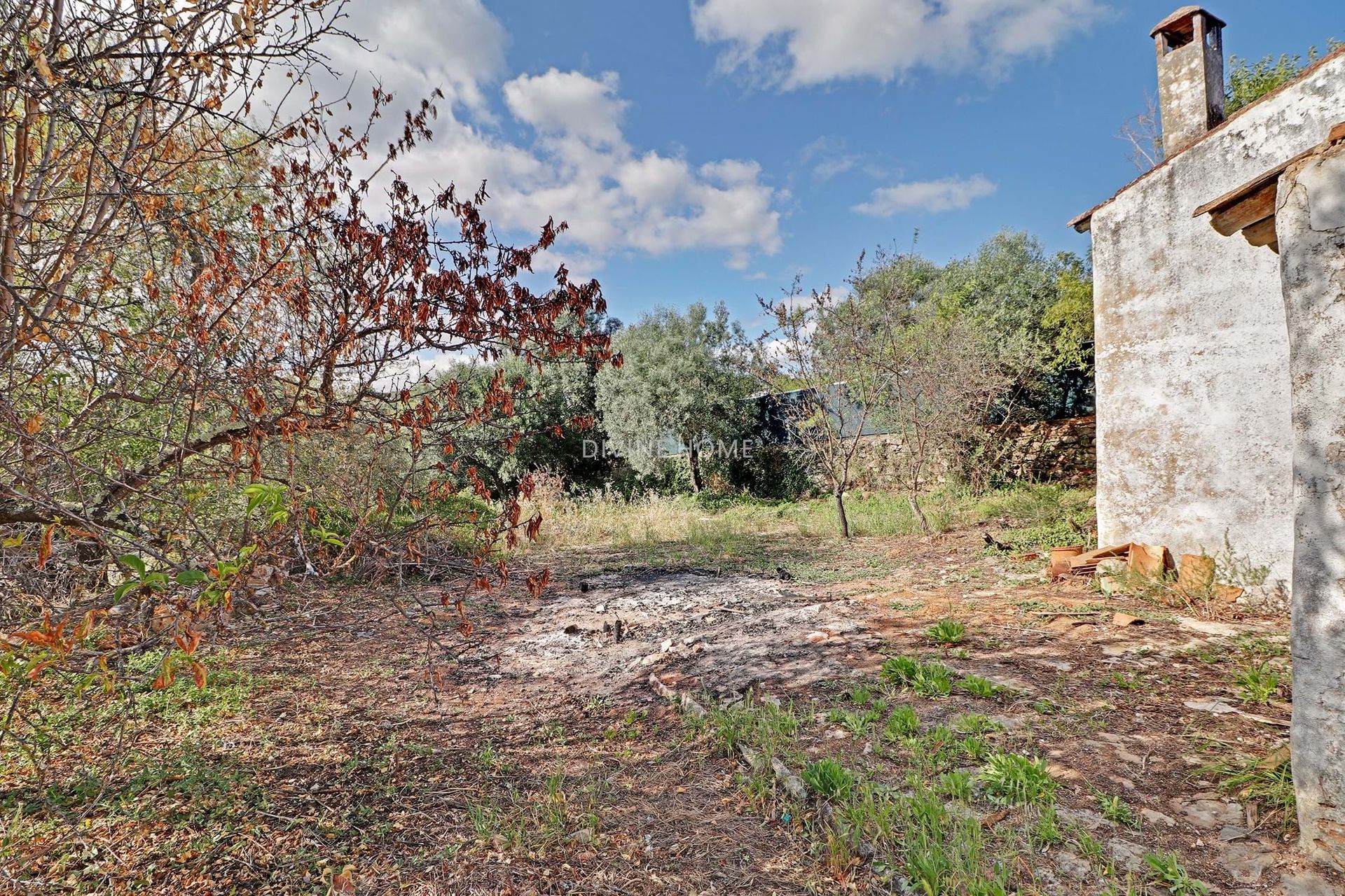 casa no São Brás de Alportel, Faro District 10756501