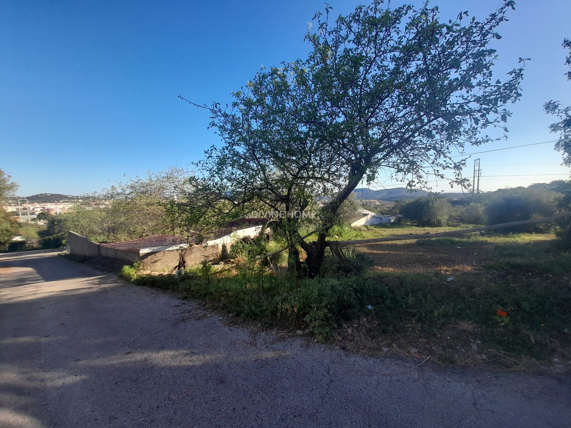 Tierra en São Brás de Alportel, Faro District 10756588