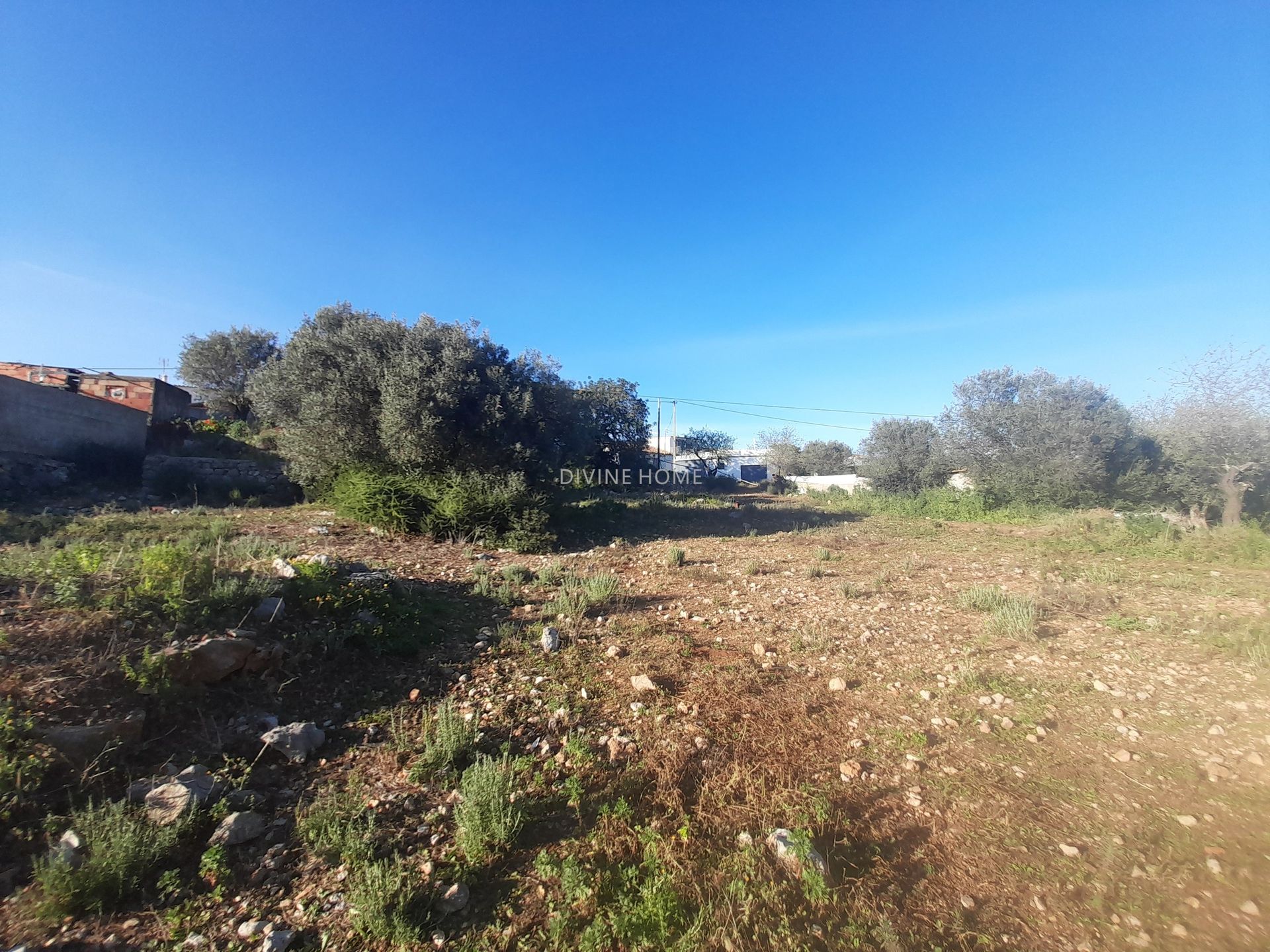 Tierra en São Brás de Alportel, Faro District 10756588