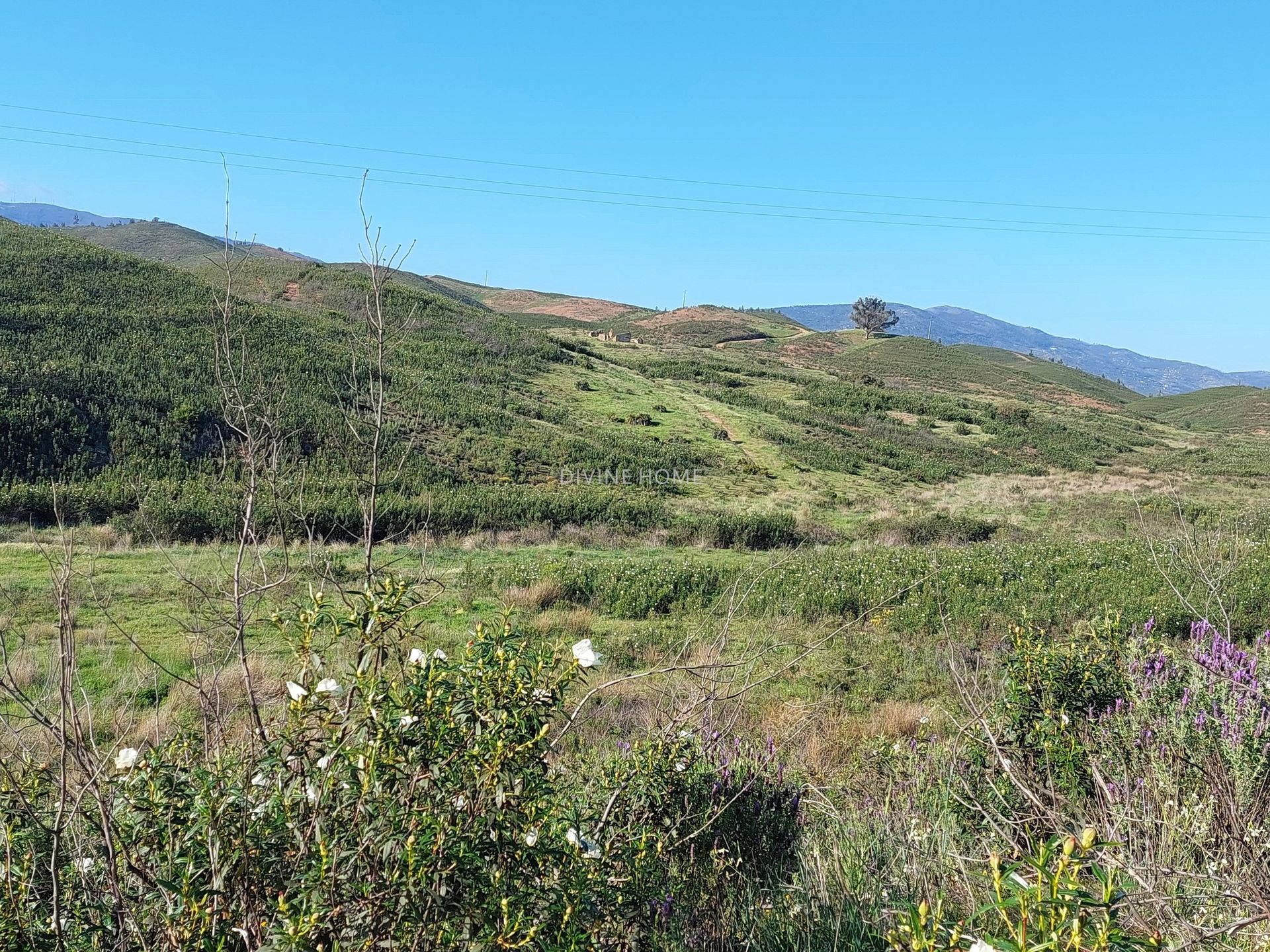 Land in Portimão, Faro District 10756616