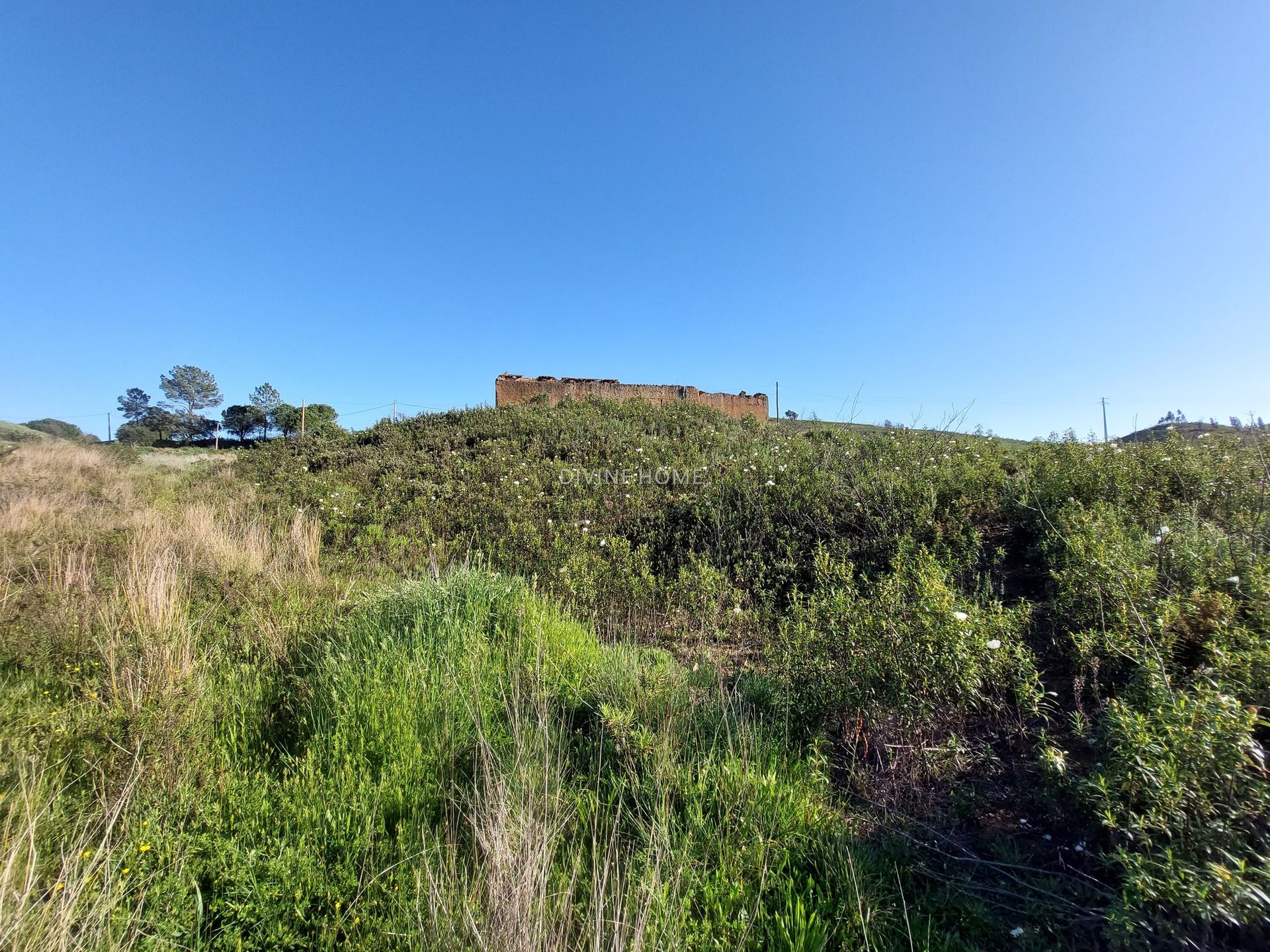 Land in Portimão, Faro District 10756616