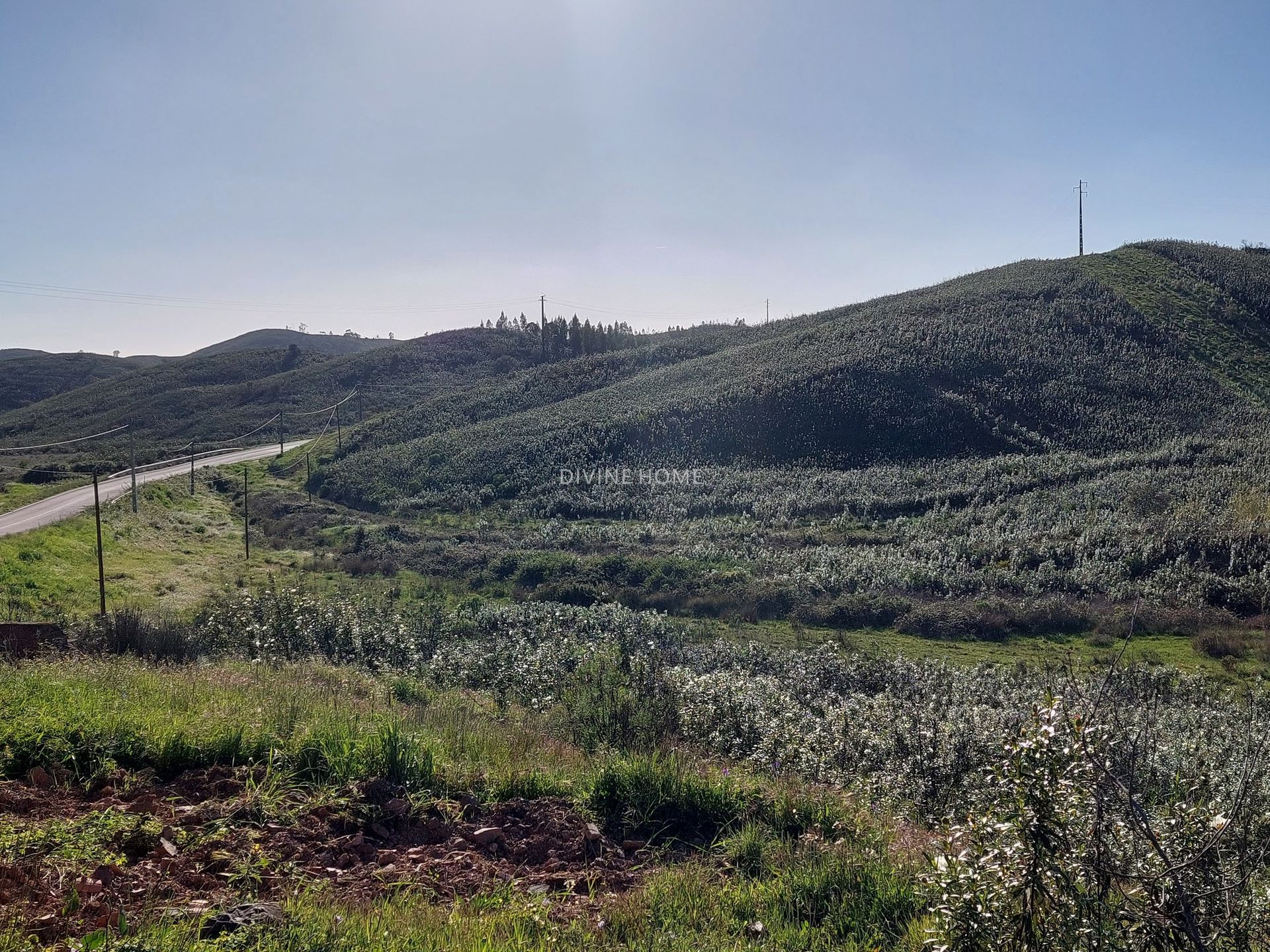 Land in Portimão, Faro District 10756616