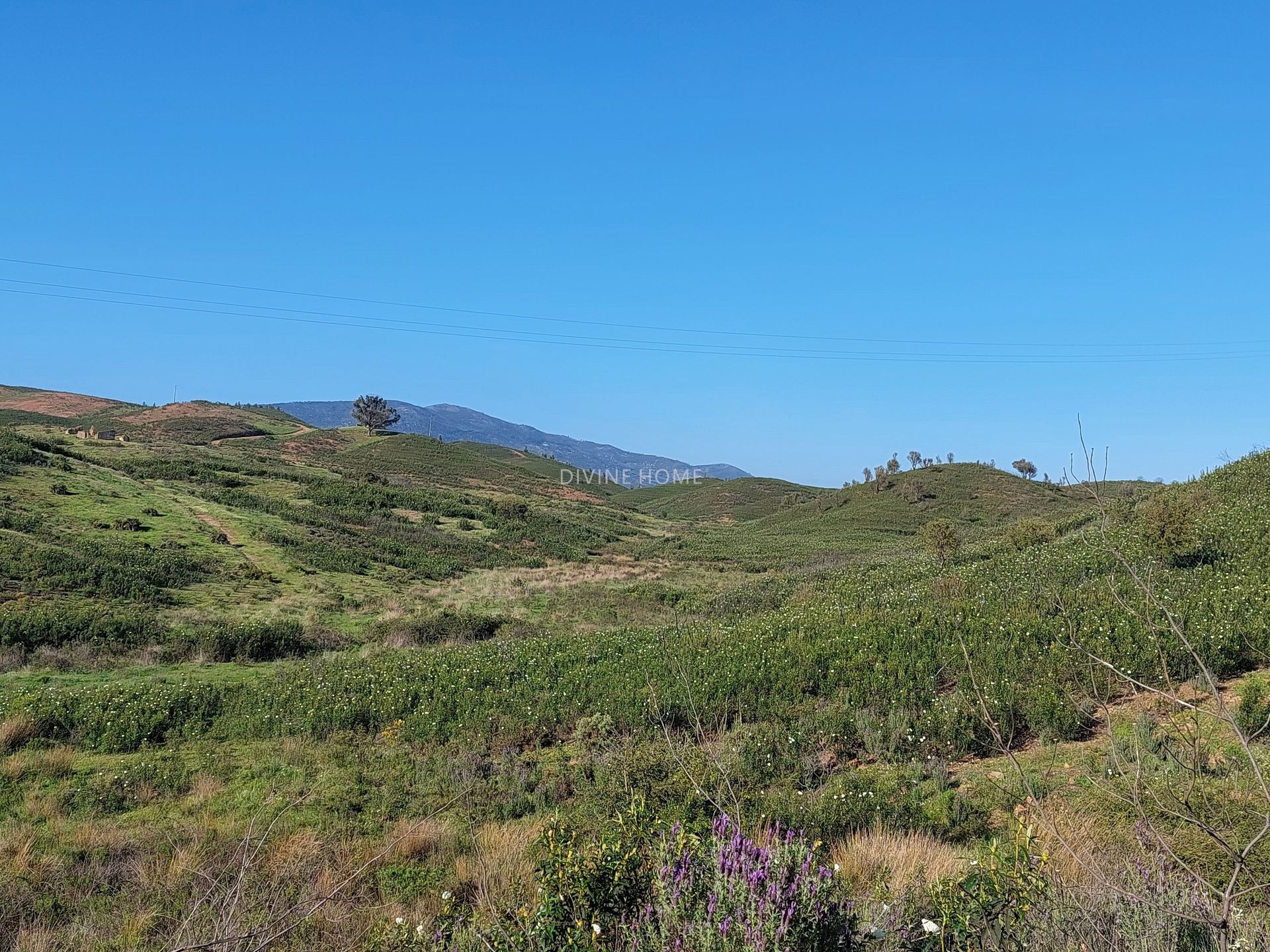 Land in Portimão, Faro District 10756616