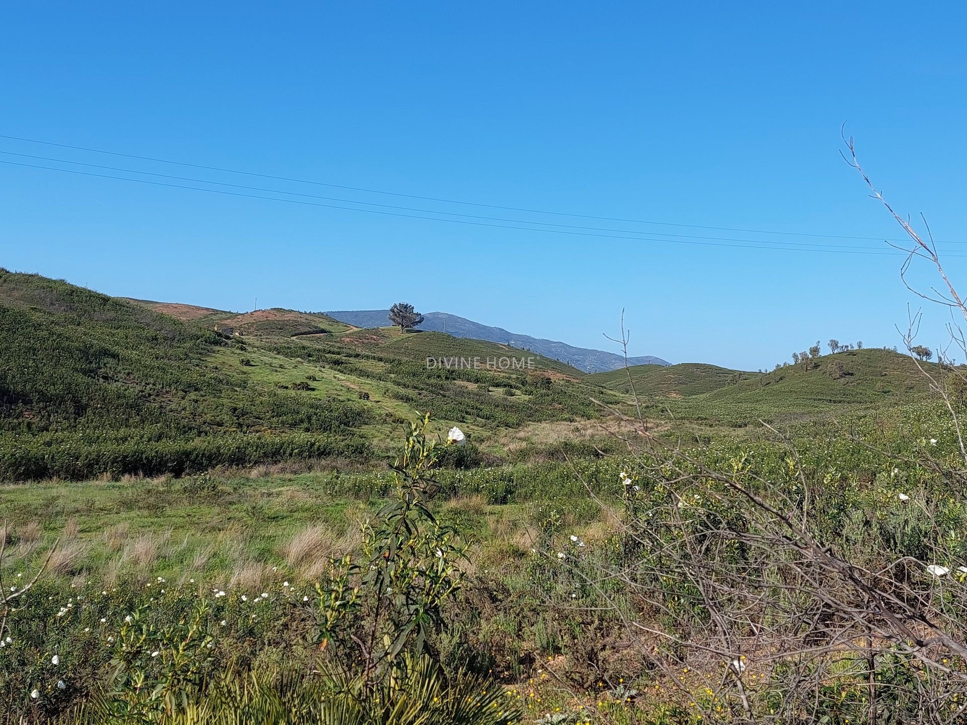 Land in Portimão, Faro District 10756616