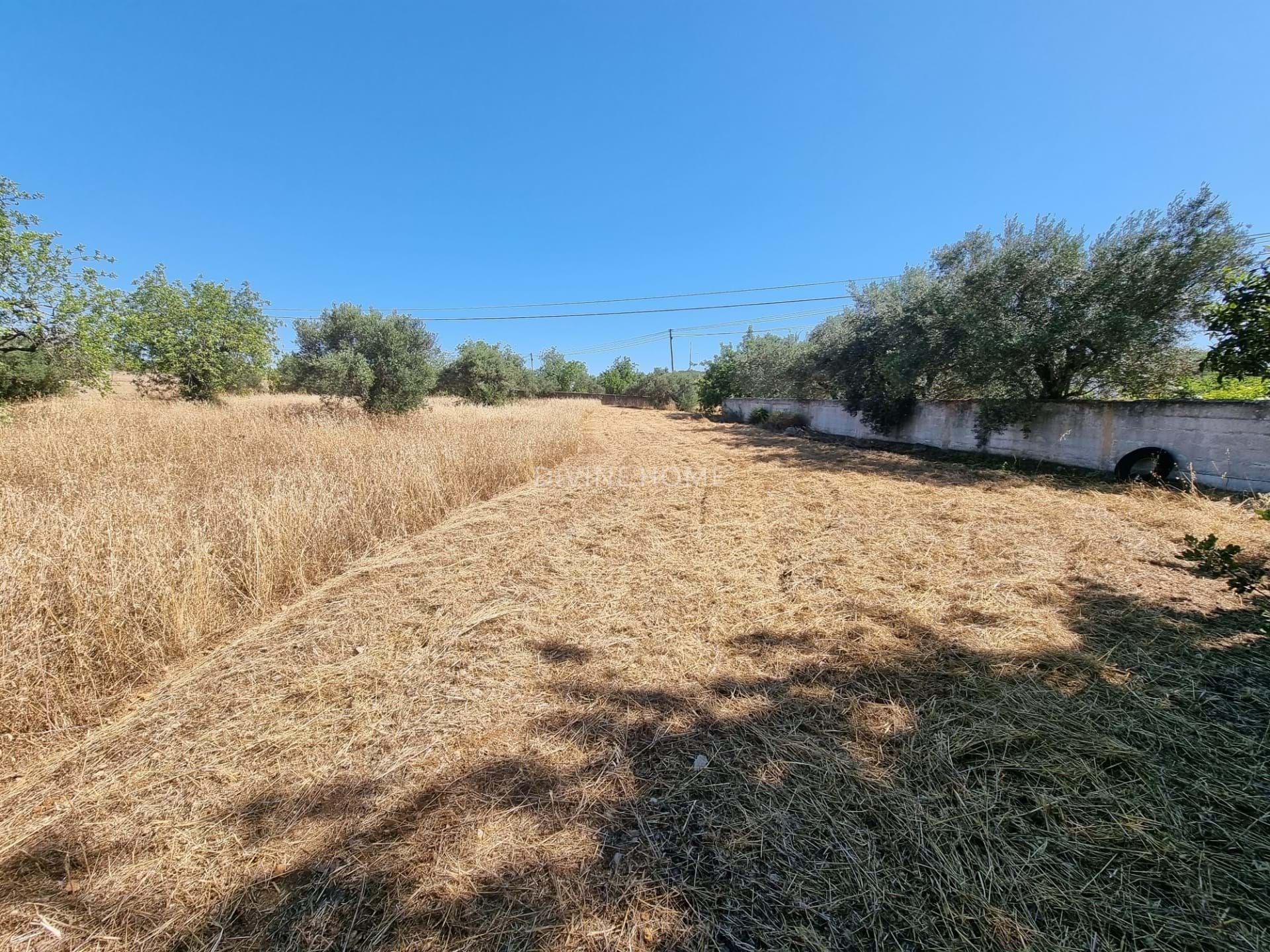 Land in São Brás de Alportel, Faro District 10756618