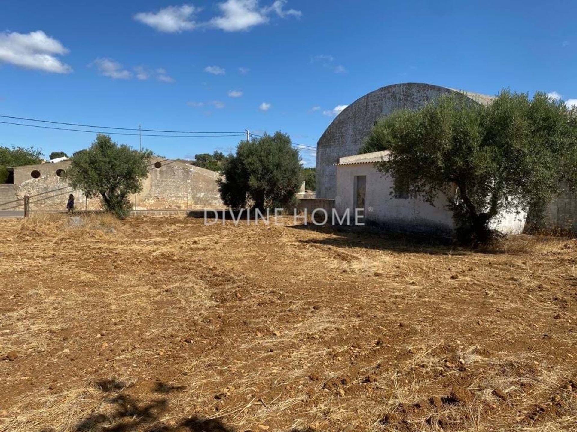 Tierra en São Brás de Alportel, Faro District 10756618