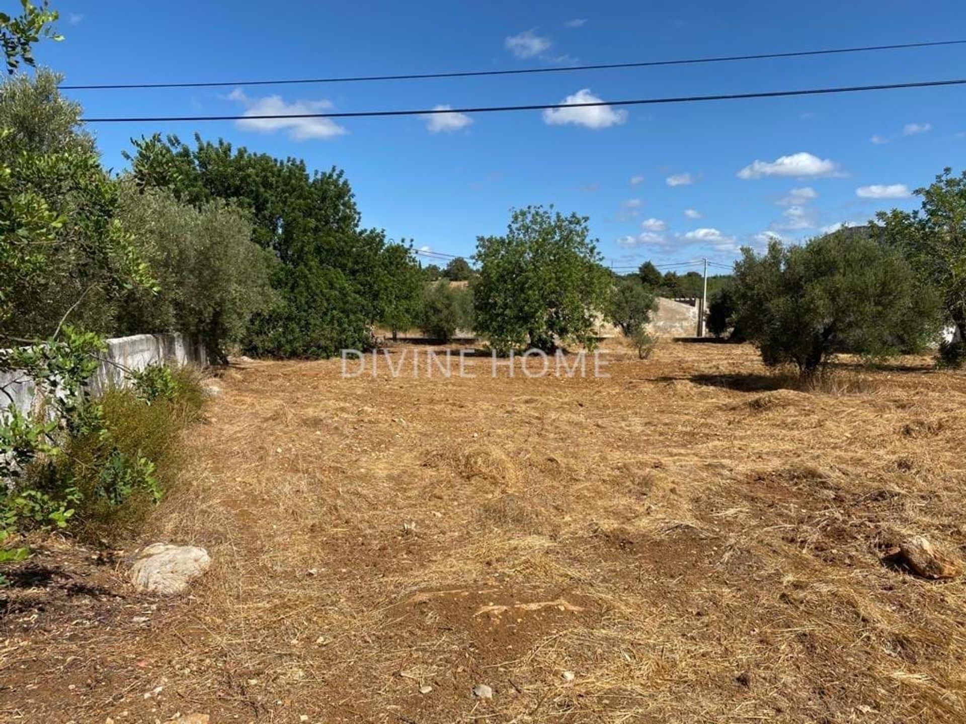 Land in São Brás de Alportel, Faro District 10756618