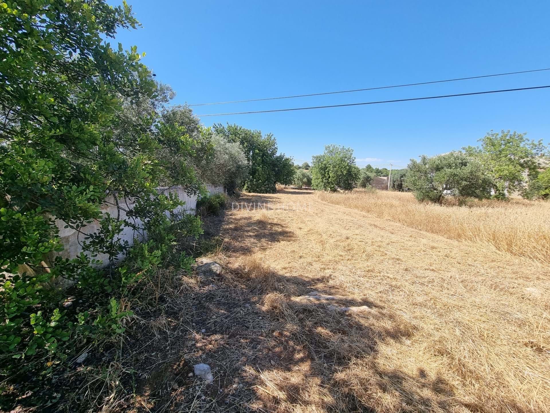 Land in São Brás de Alportel, Faro District 10756618