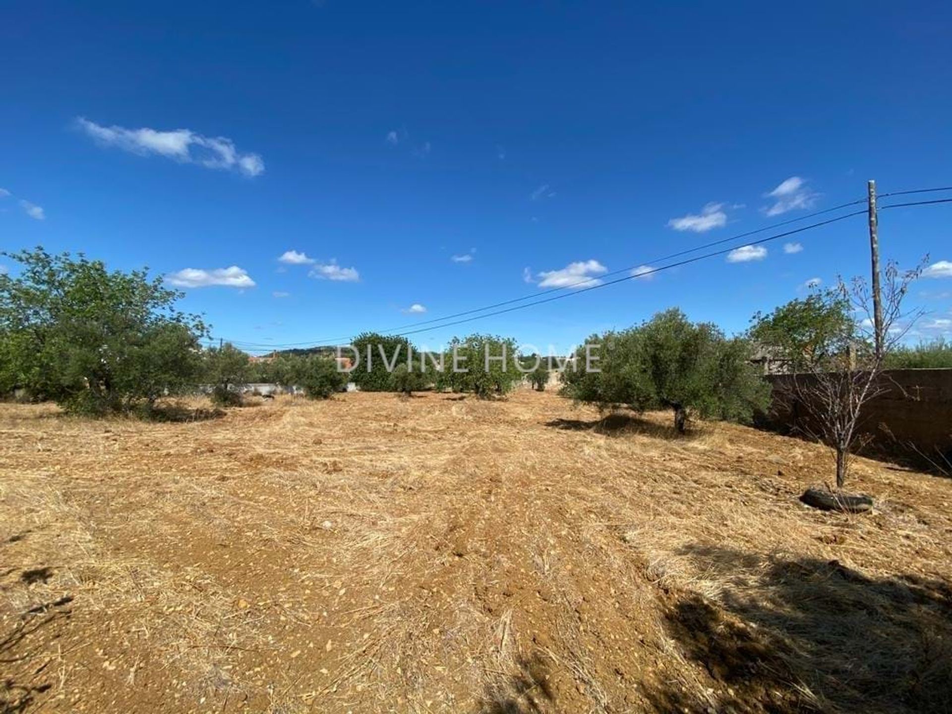 Land in São Brás de Alportel, Faro District 10756618