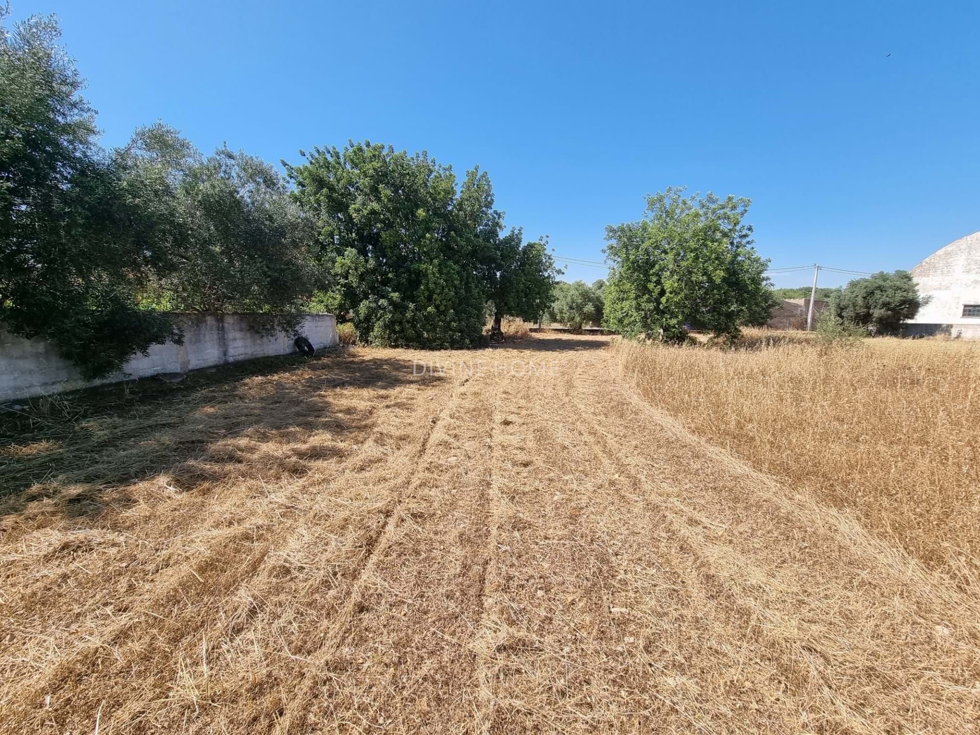 Tierra en Hortas y Moinhos, Faraón 10756618