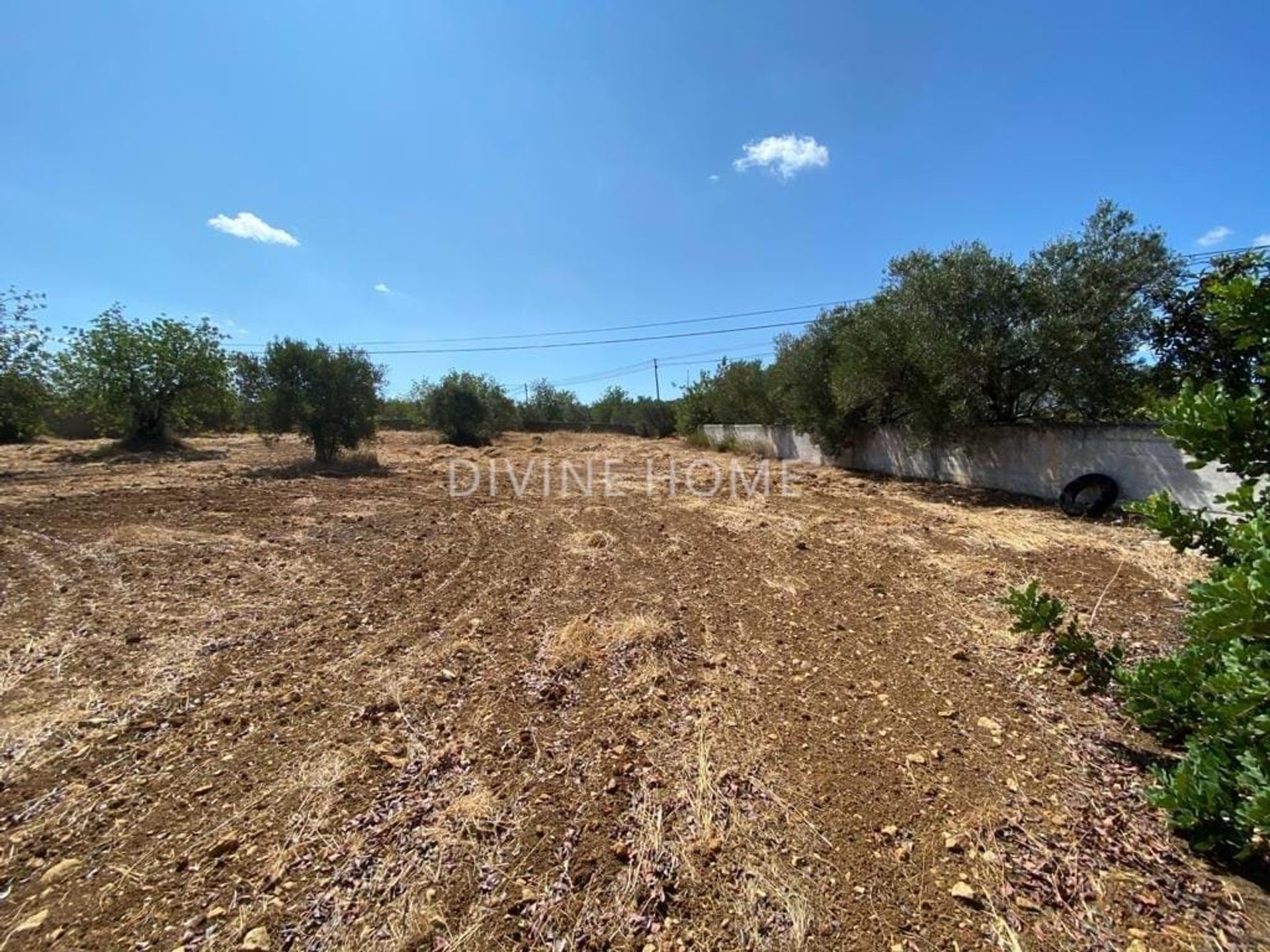 土地 在 São Brás de Alportel, Faro District 10756618