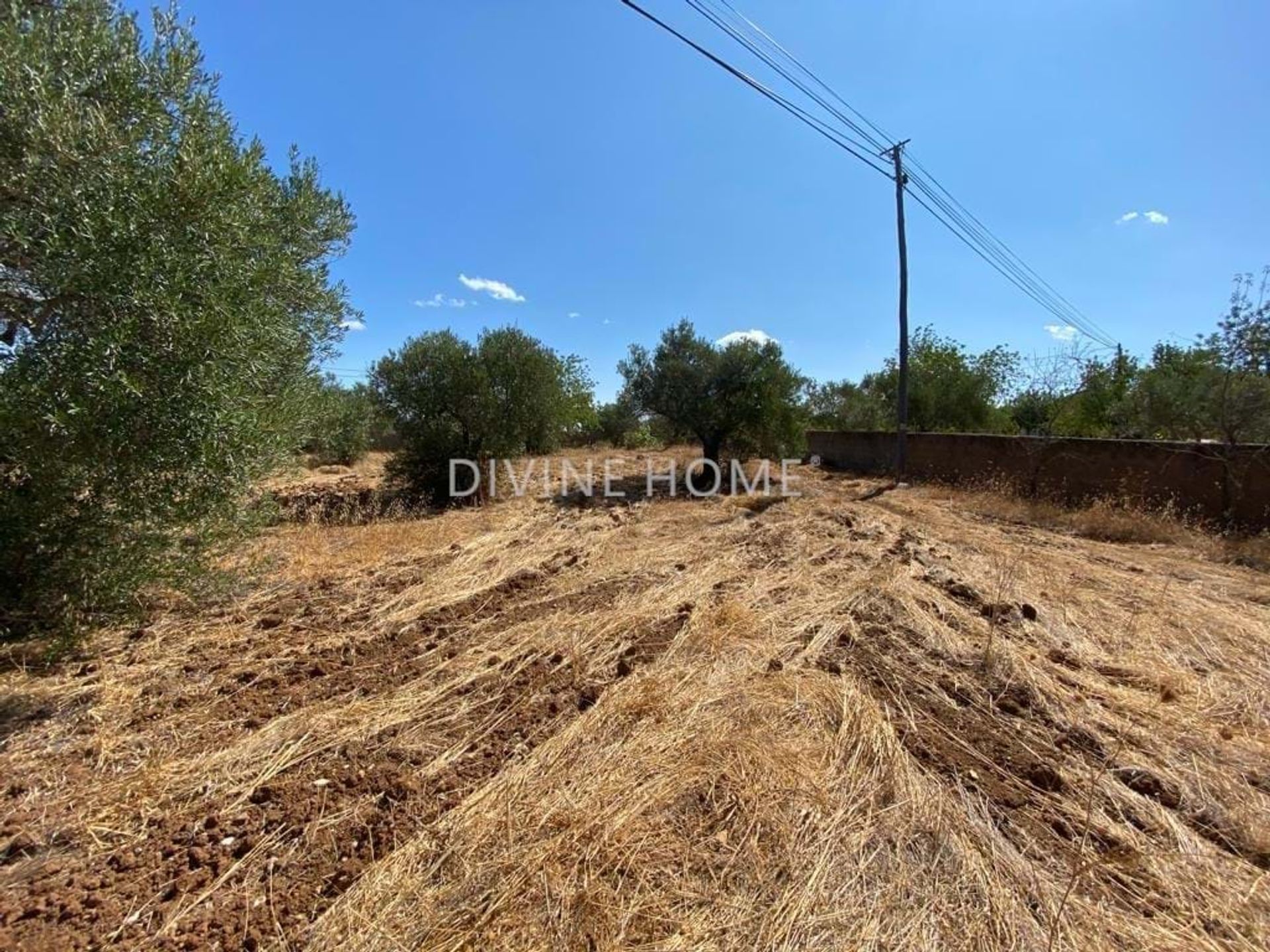 Tierra en São Brás de Alportel, Faro District 10756618