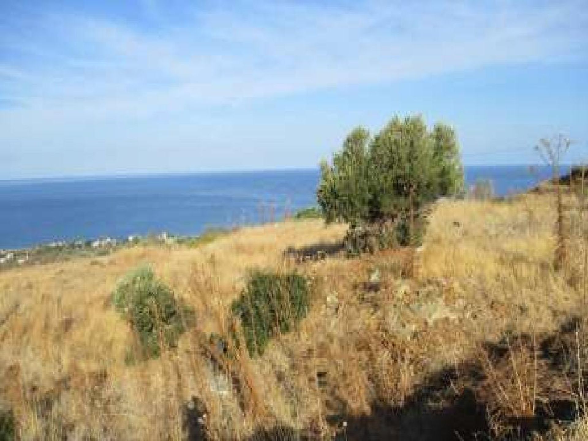 Terra no Pólis, Pafos 10756662