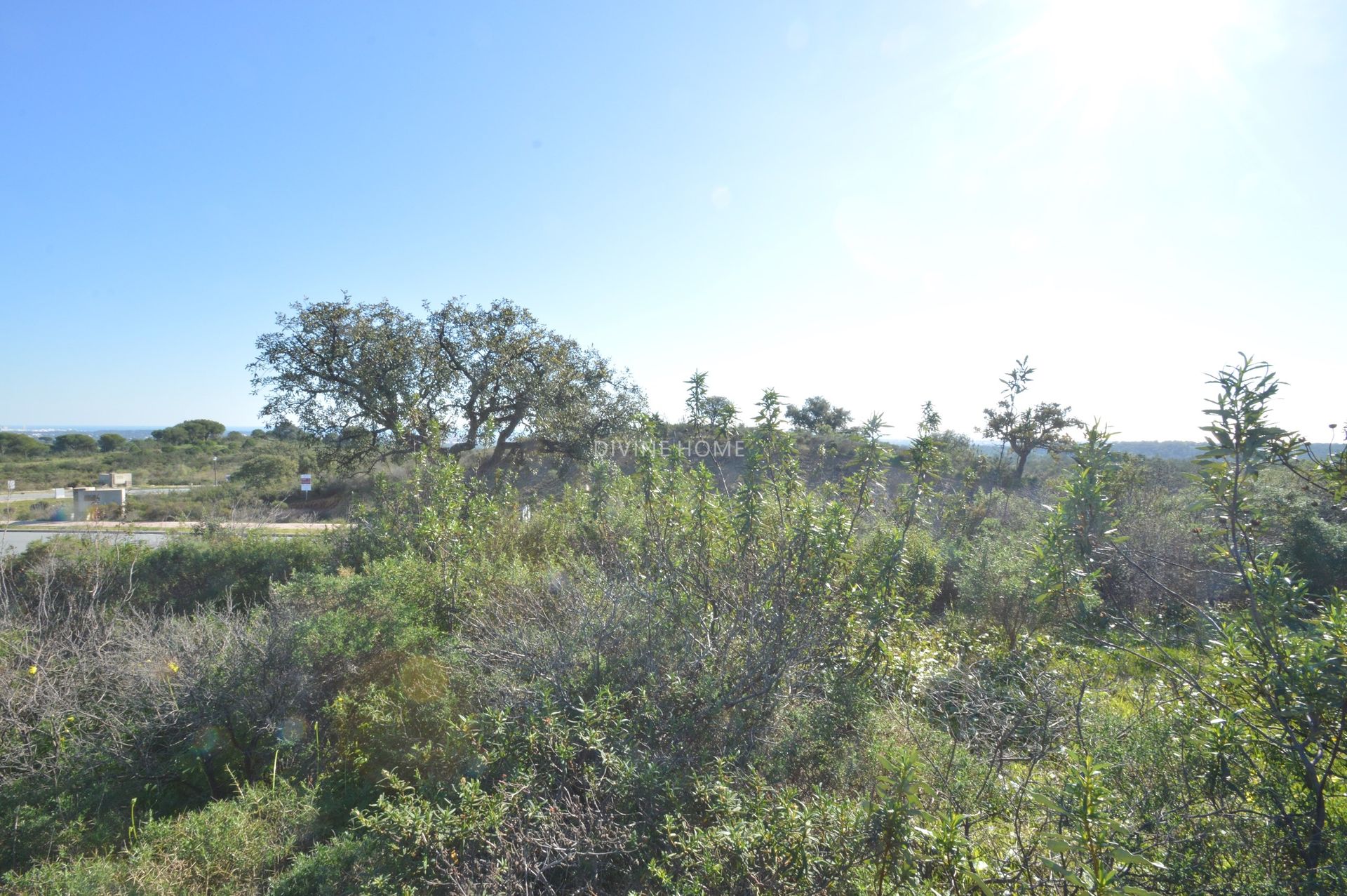 Terre dans Vila Nova de Cacela, Faro District 10756676