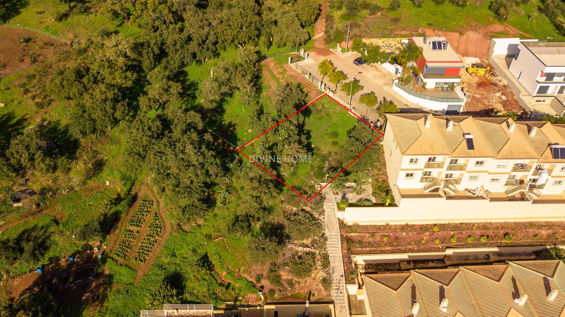 Terra no São Bartolomeu de Messines, Faro 10756680